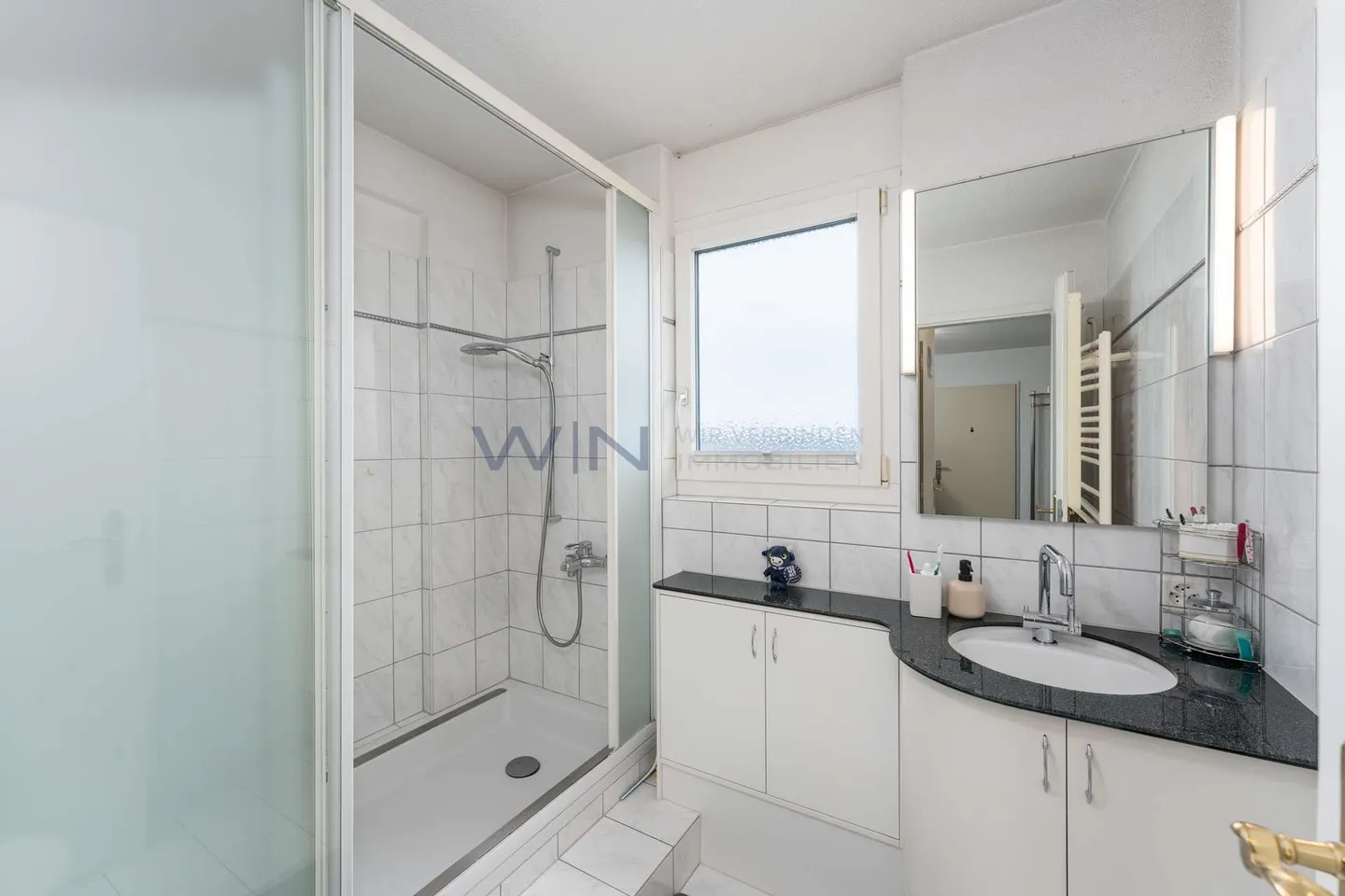 Panoramic view over forest and mountains, eighth floor - Photo 10 of 12