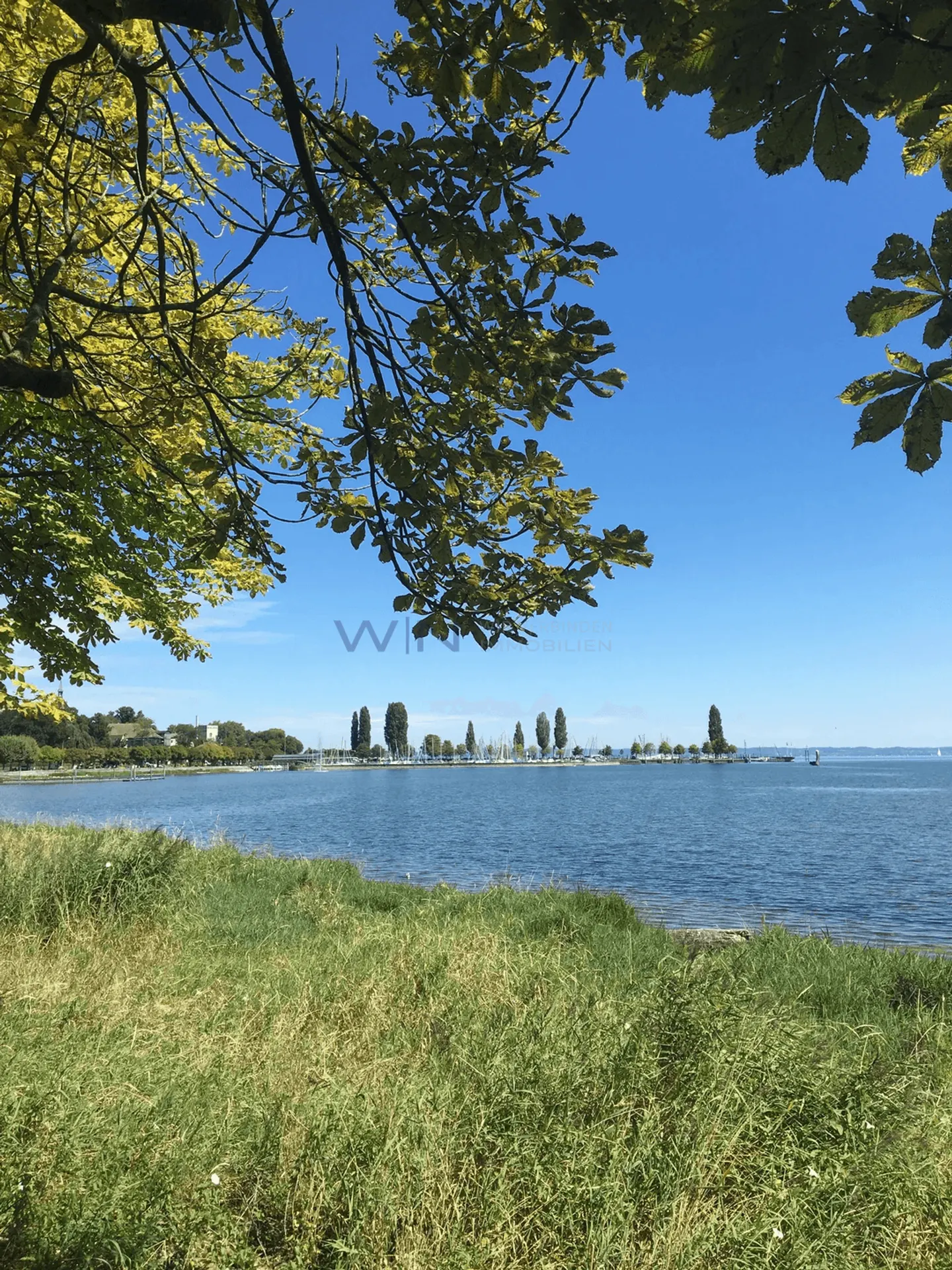 Tiny House au bord du lac de Constance - Photo 2 sur 8