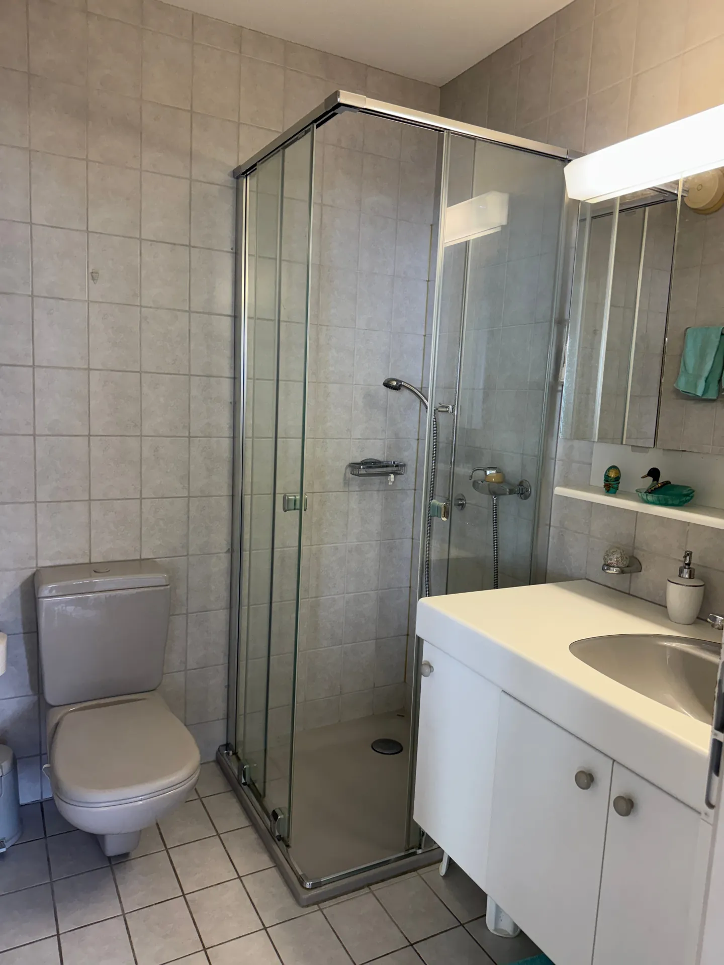 Acheter un appartement en attique de 2.5 pi&egrave;ces avec vue panoramique &agrave; Brissago - Photo 11 sur 13