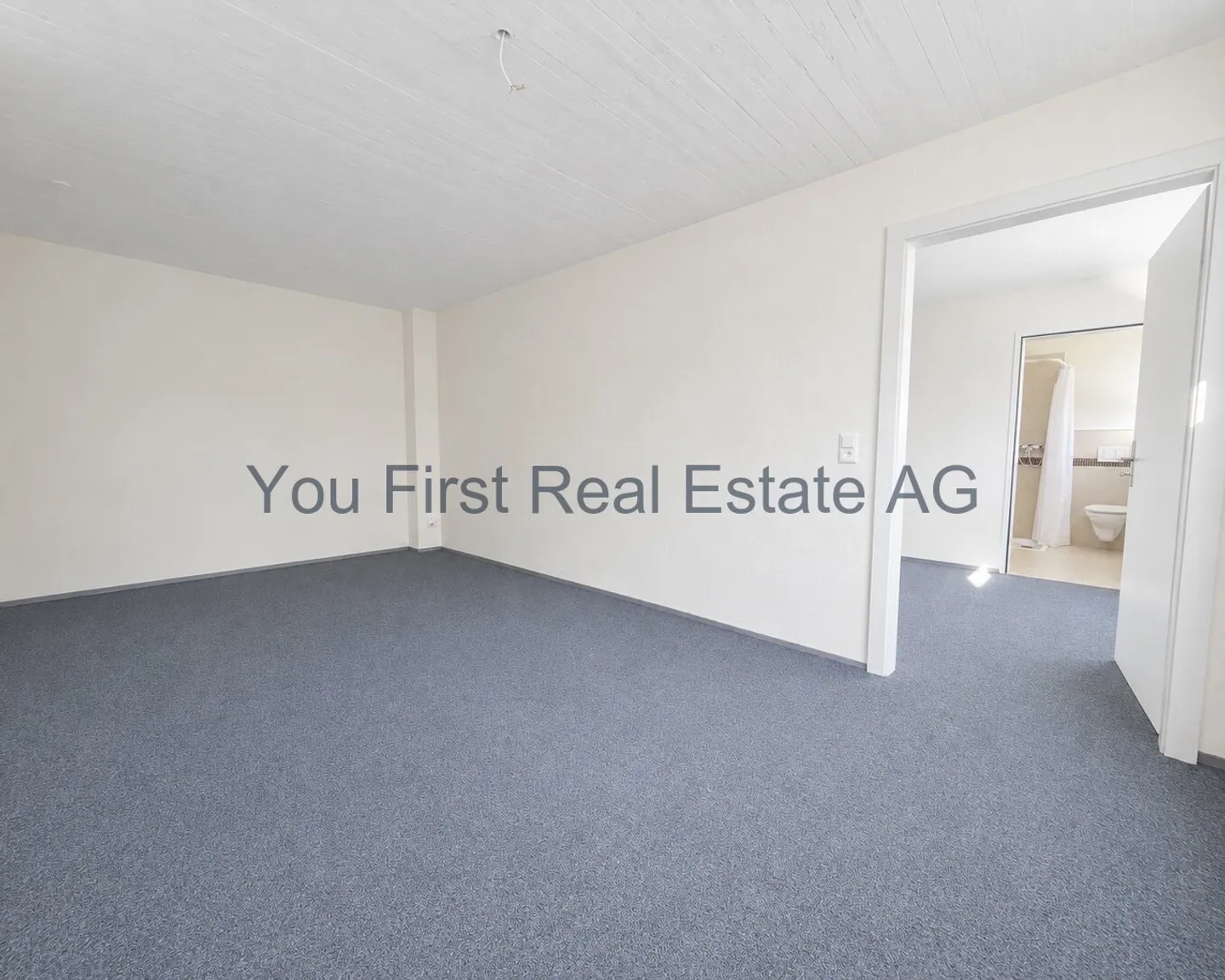Office, practice &amp; business premises with 180° lake view - Photo 7 of 11