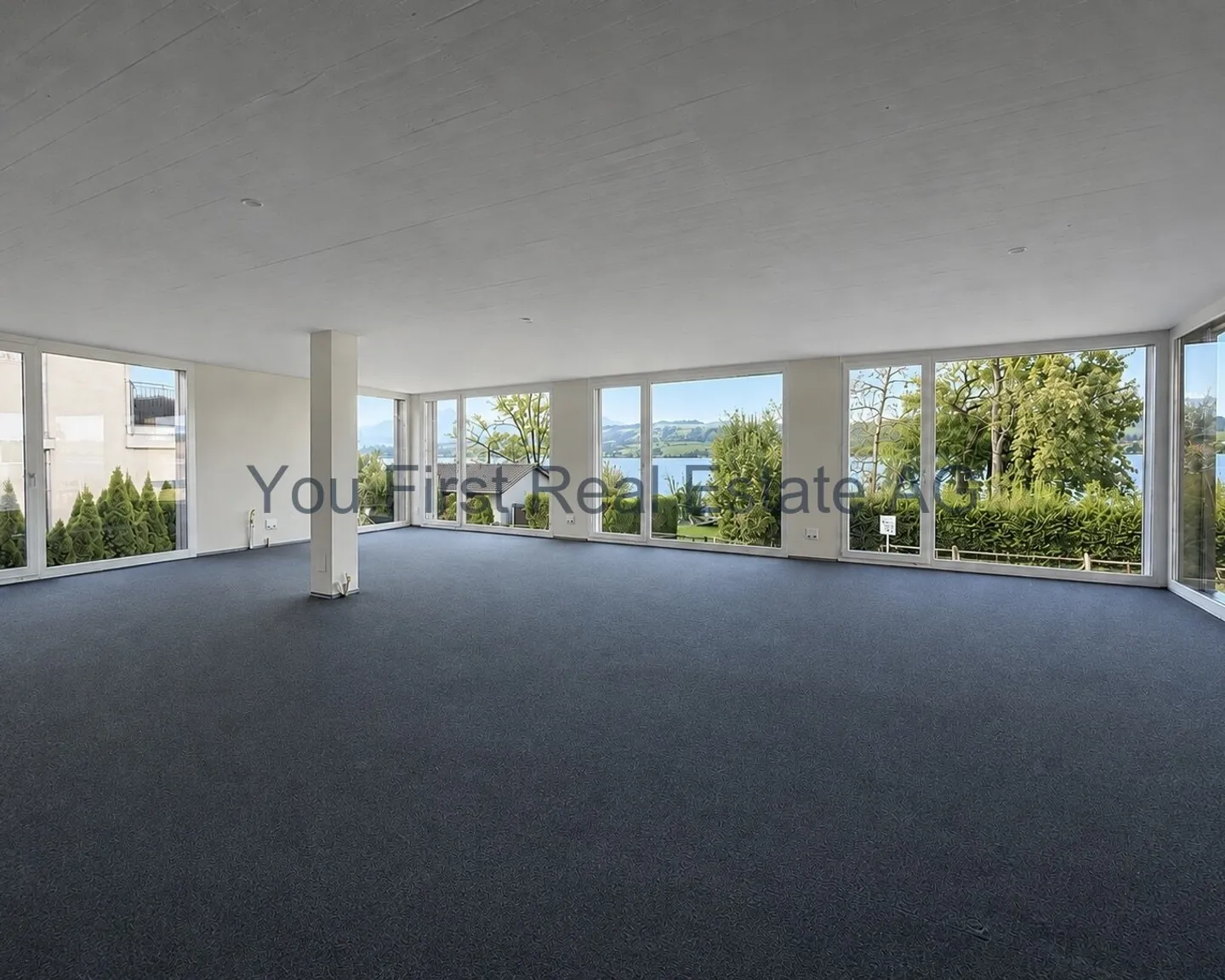 Office, practice &amp; business premises with 180° lake view - Photo 9 of 11