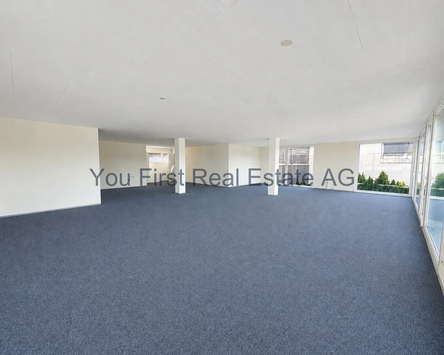 Office, practice &amp; business premises with 180° lake view - Photo 3 of 11