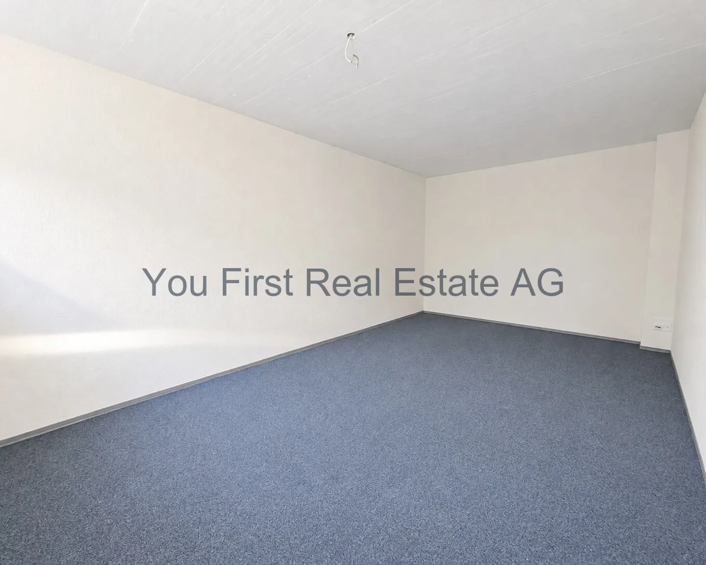 Office, practice &amp; business premises with 180° lake view - Photo 10 of 11