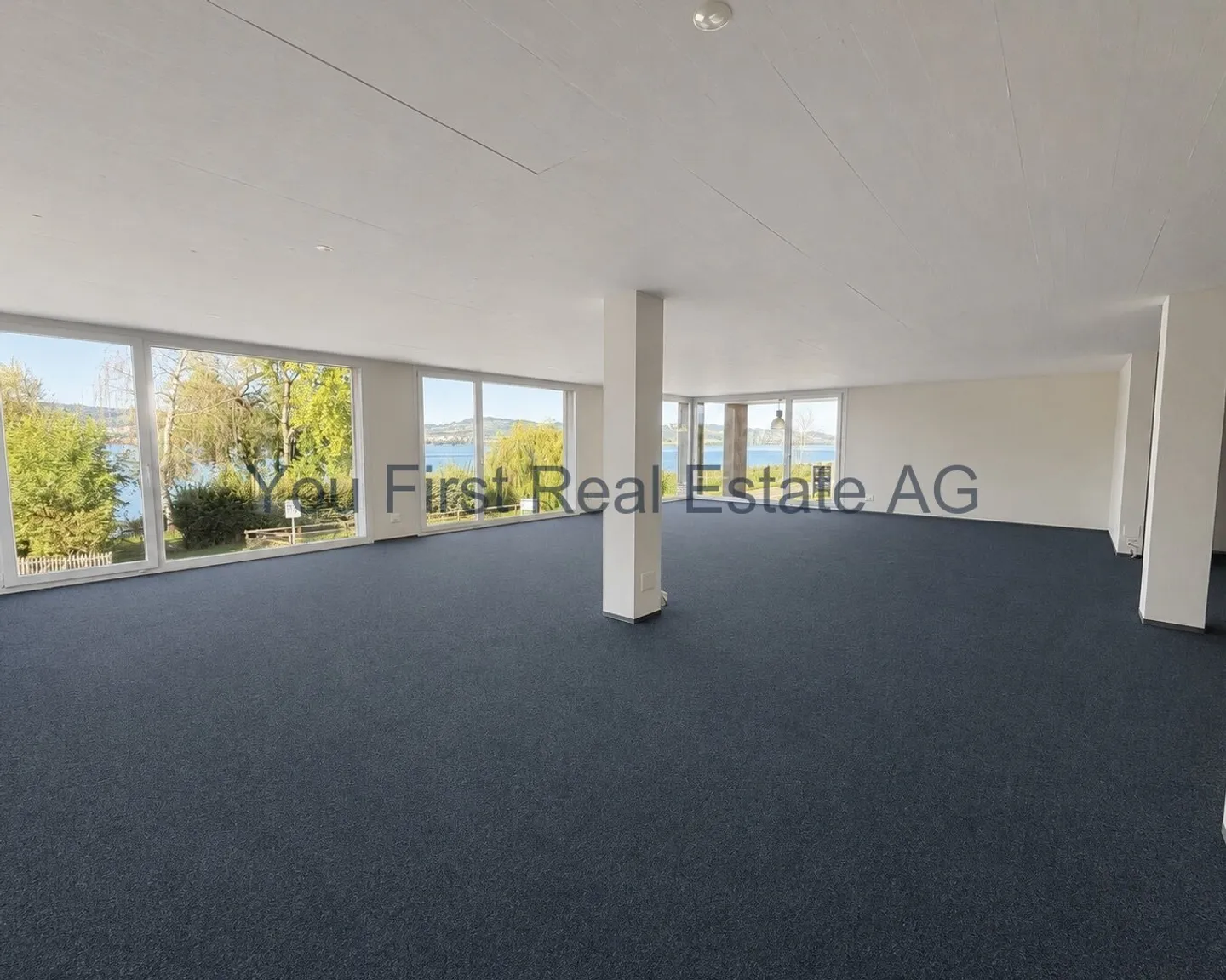 Office, practice &amp; business premises with 180° lake view - Photo 8 of 11