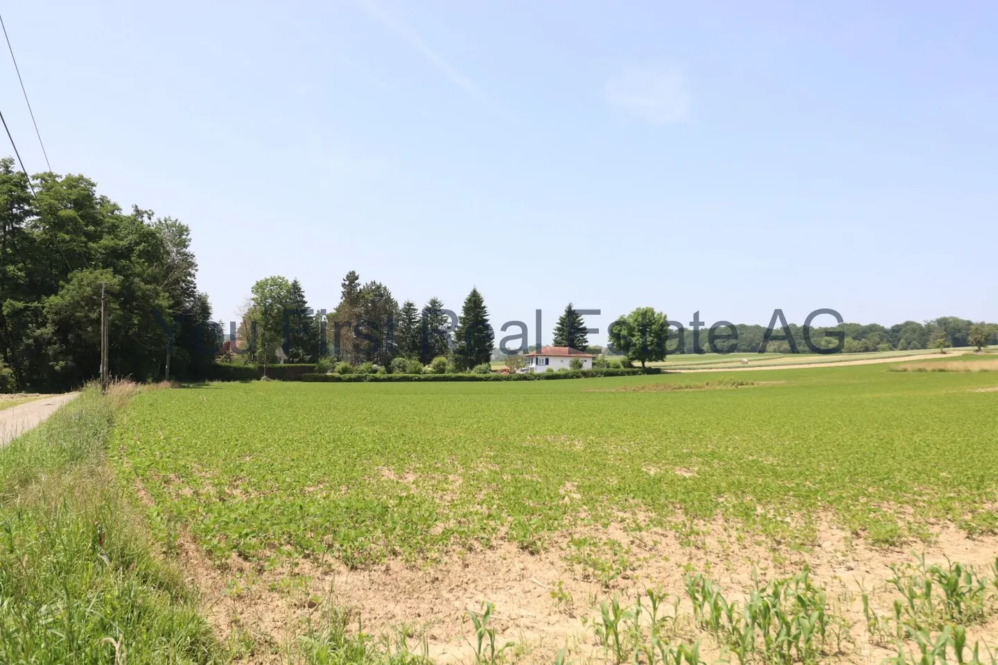 FRANCE -Ein Garten wie ein Park  Ruhe, Raum und Natur. - Photo 8 sur 13