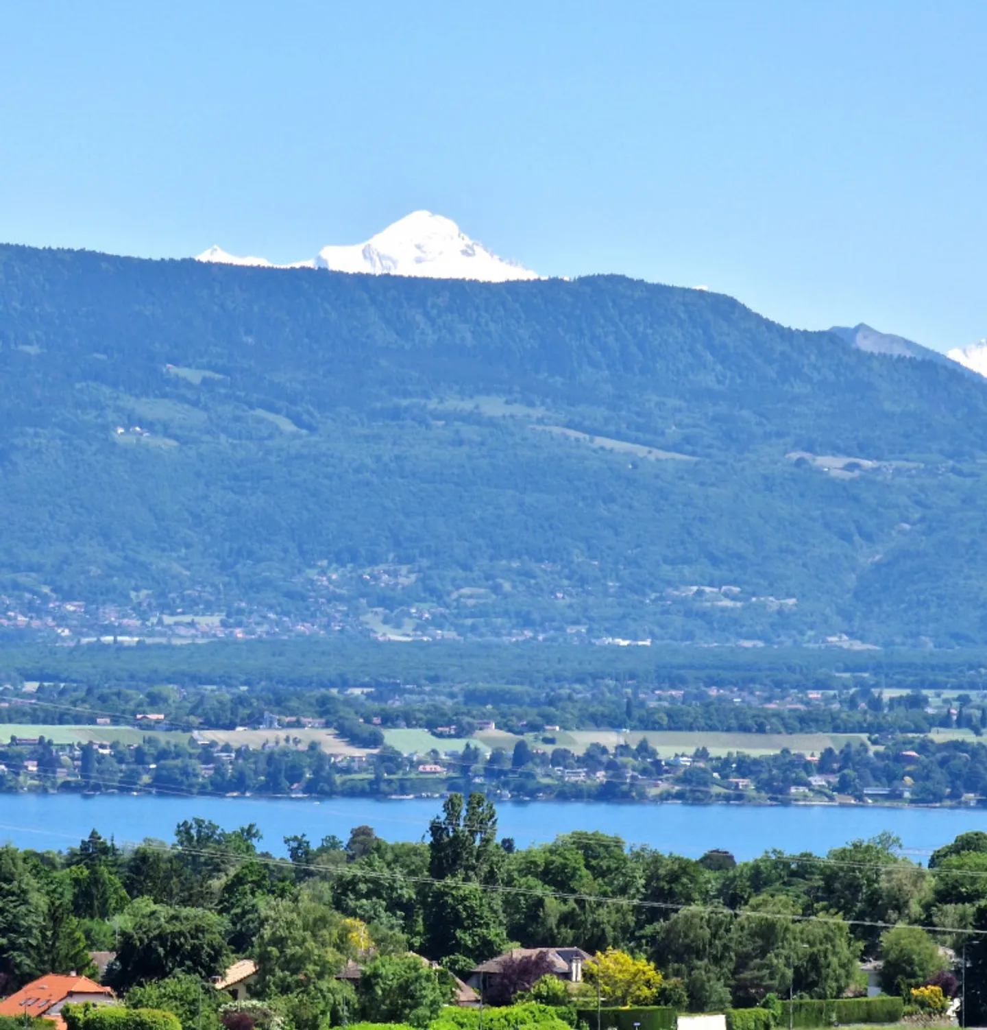 In esclusiva e off market: Villa paradisiaca con magnifica vista sul lago - Foto 3 di 4