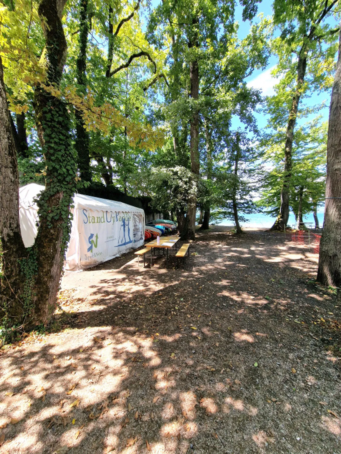 Family apartment 5 rooms, fully renovated, casatax, Collonge-Bellerive - Photo 4 of 9