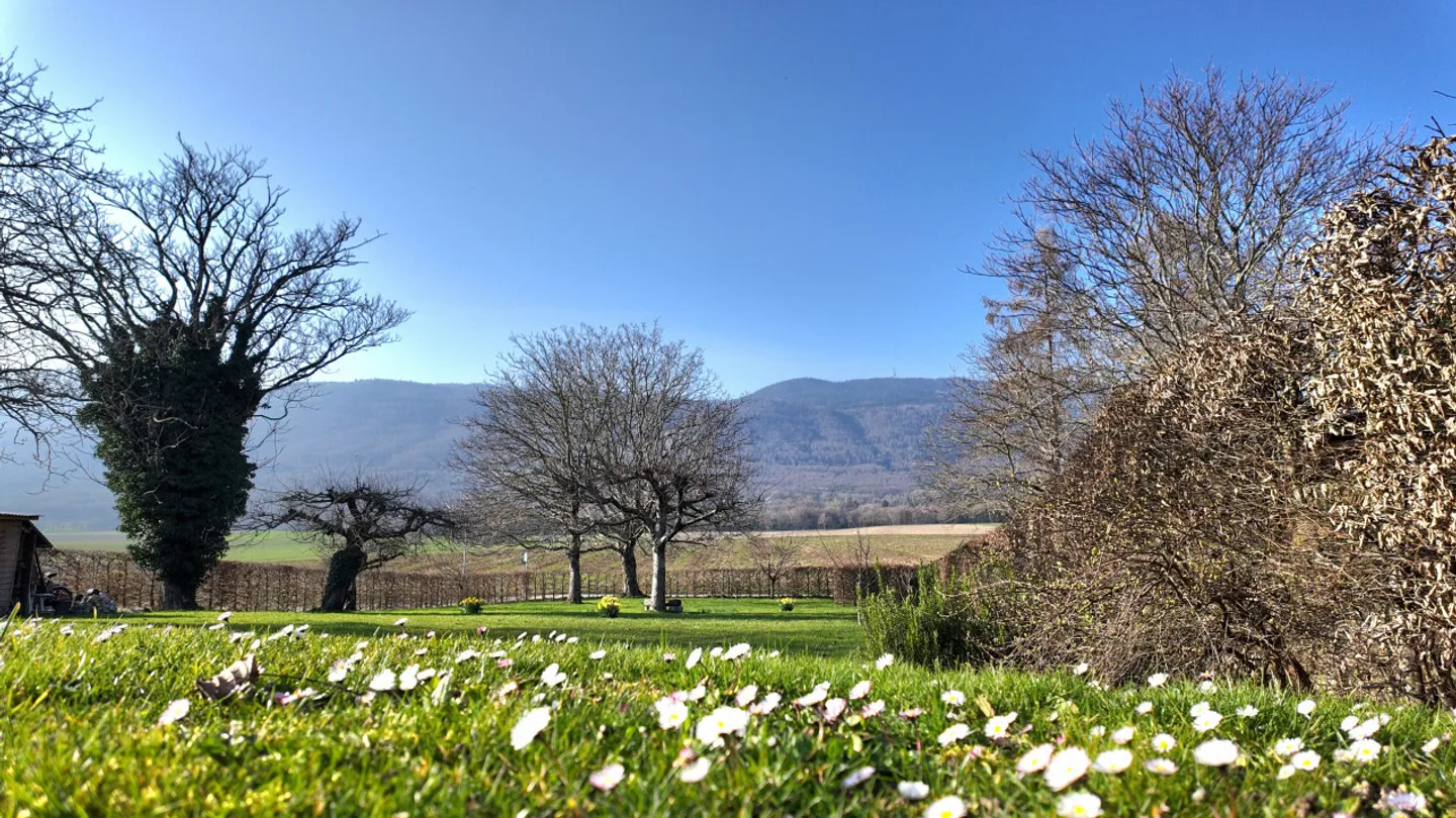 Authentique maison familiale avec une magnifique vue Jura, district Nyon - Photo 1 sur 13
