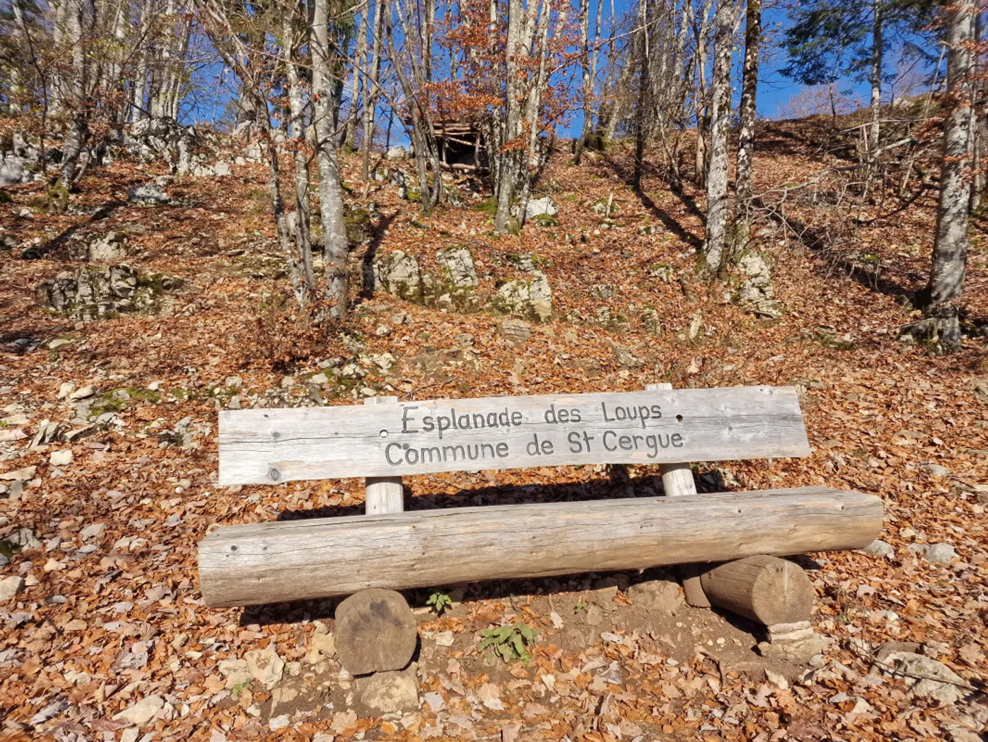 Appartamento fantastico con terrazza, centro di Saint Cergue - Foto 12 di 13