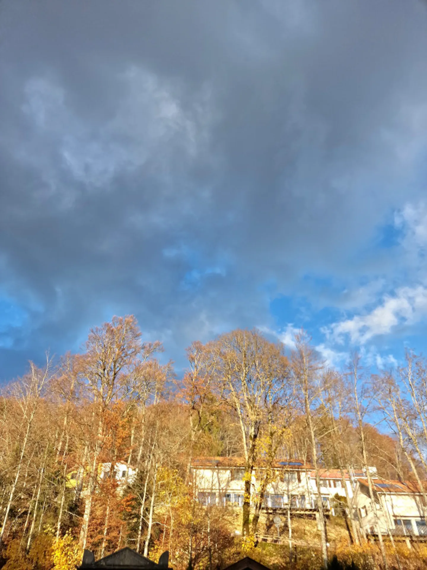 Appartamento fantastico con terrazza, centro di Saint Cergue - Foto 7 di 13