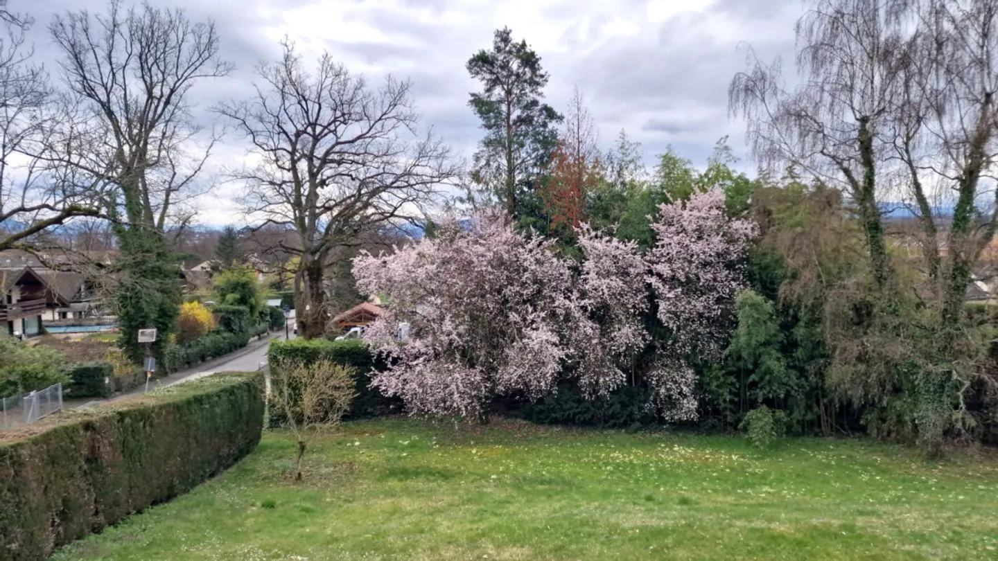 Villa Azur, magnifica piscina e giardino, pompa di calore, Bellevue - Foto 13 di 13