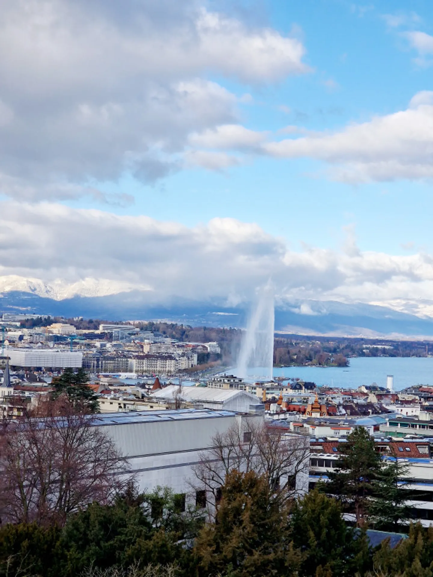 Appartement Charmant à Genève - Photo 2 sur 9