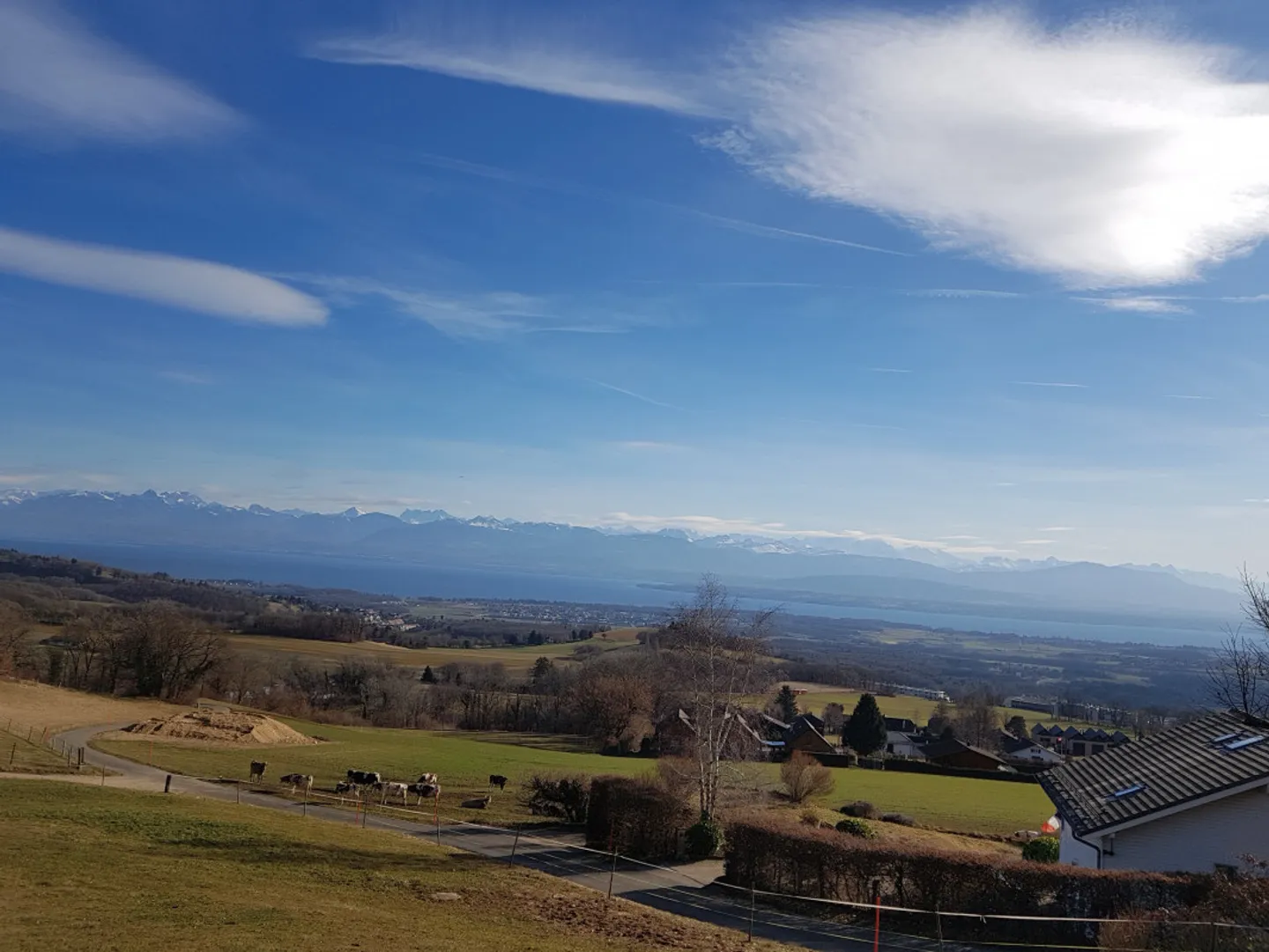 Esclusiva: Una Villa unica, contemporanea e individuale, Arzier-Le-Muids - Foto 5 di 13