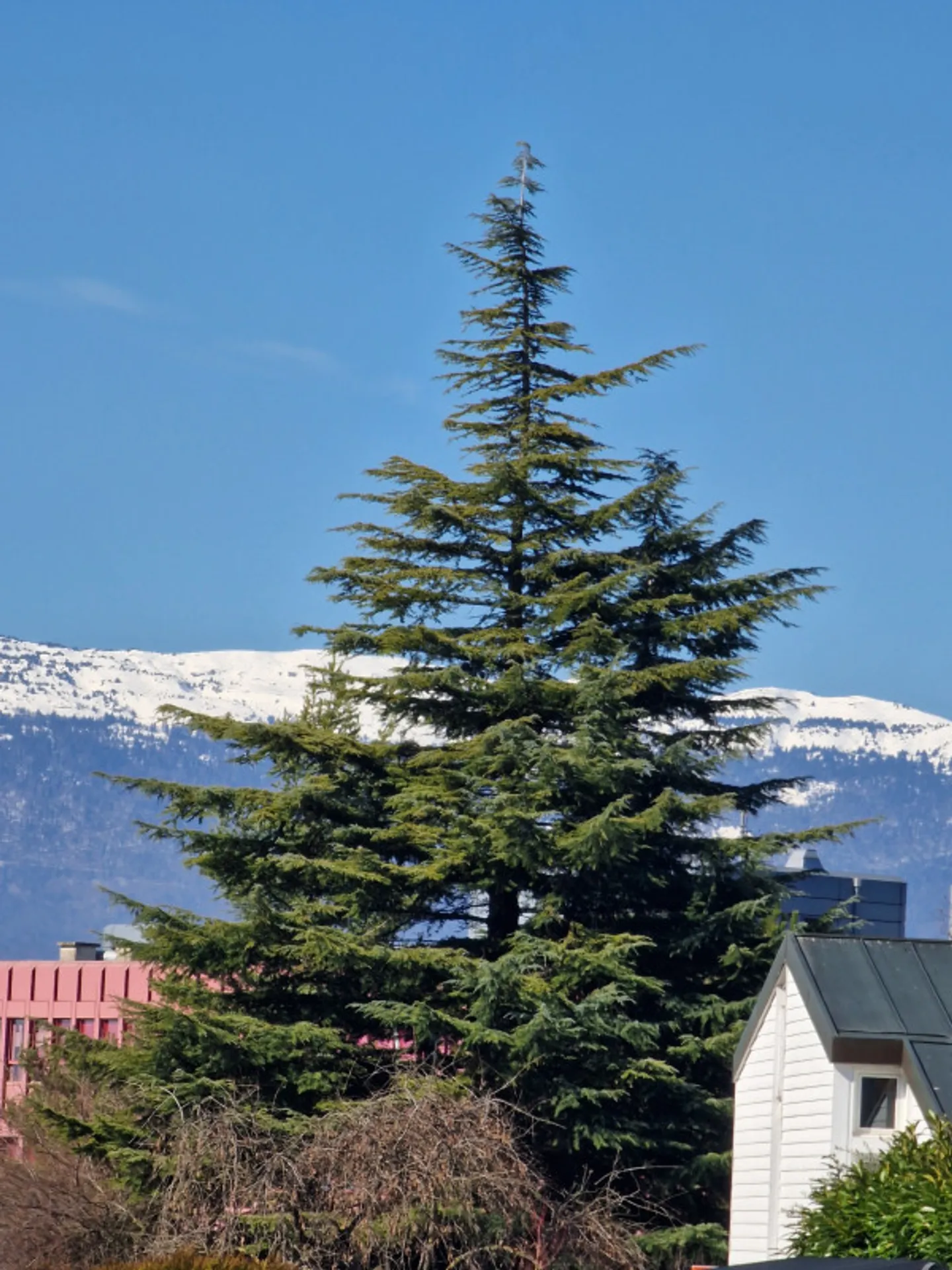 En Exclusivité: Appartement contemporain &amp; son agréable jardin privatif - Photo 4 of 6