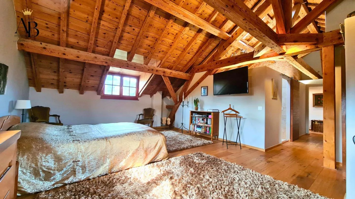 La prestigieuse et authentique propriété familiale à 5 minutes de Nyon - Foto 5 di 7
