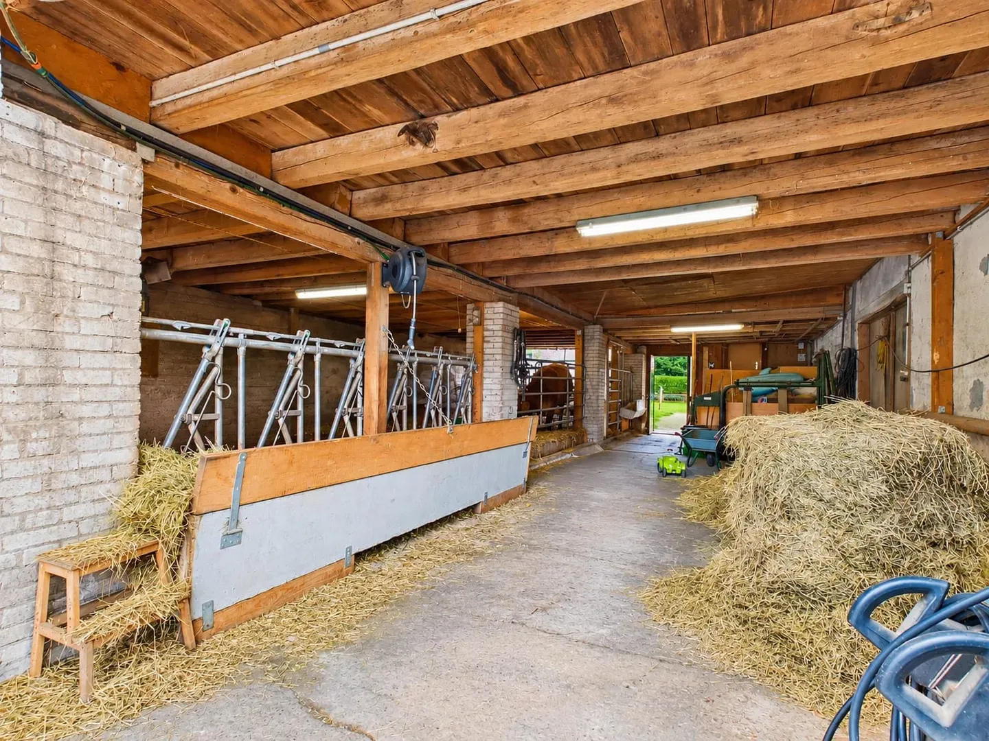 Charming Farmhouse with Potential - Photo 10 of 13