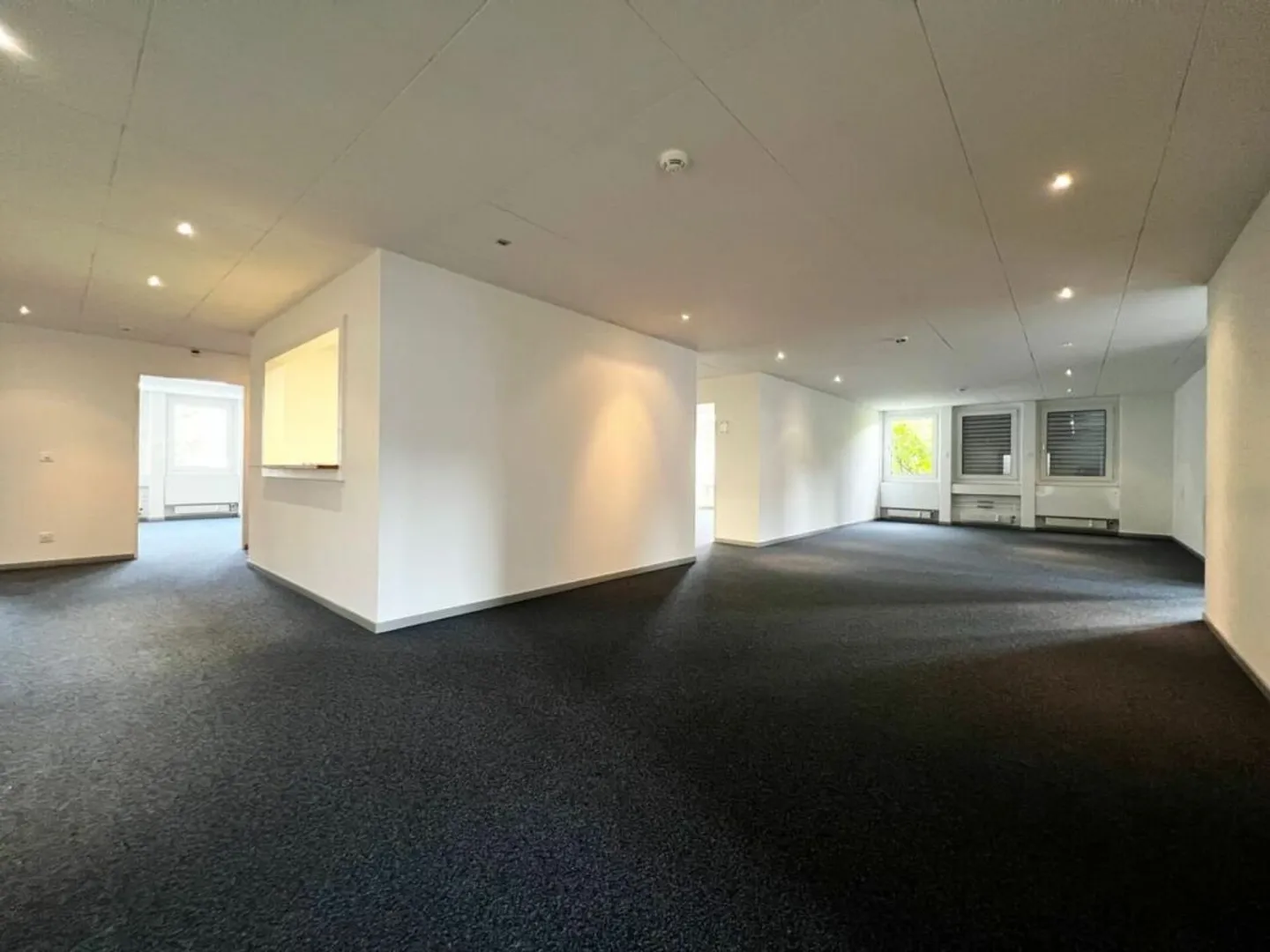 Surface commerciale polyvalente - Photo 1 sur 9