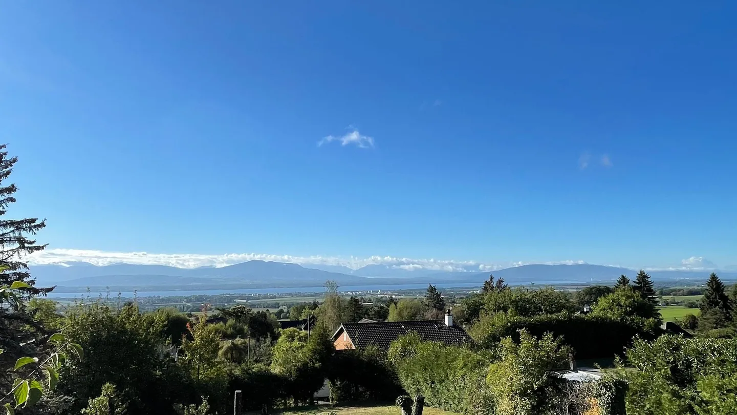 VENDITA - Terreno con vista sul Lago e sulle Alpi - Foto 3 di 5