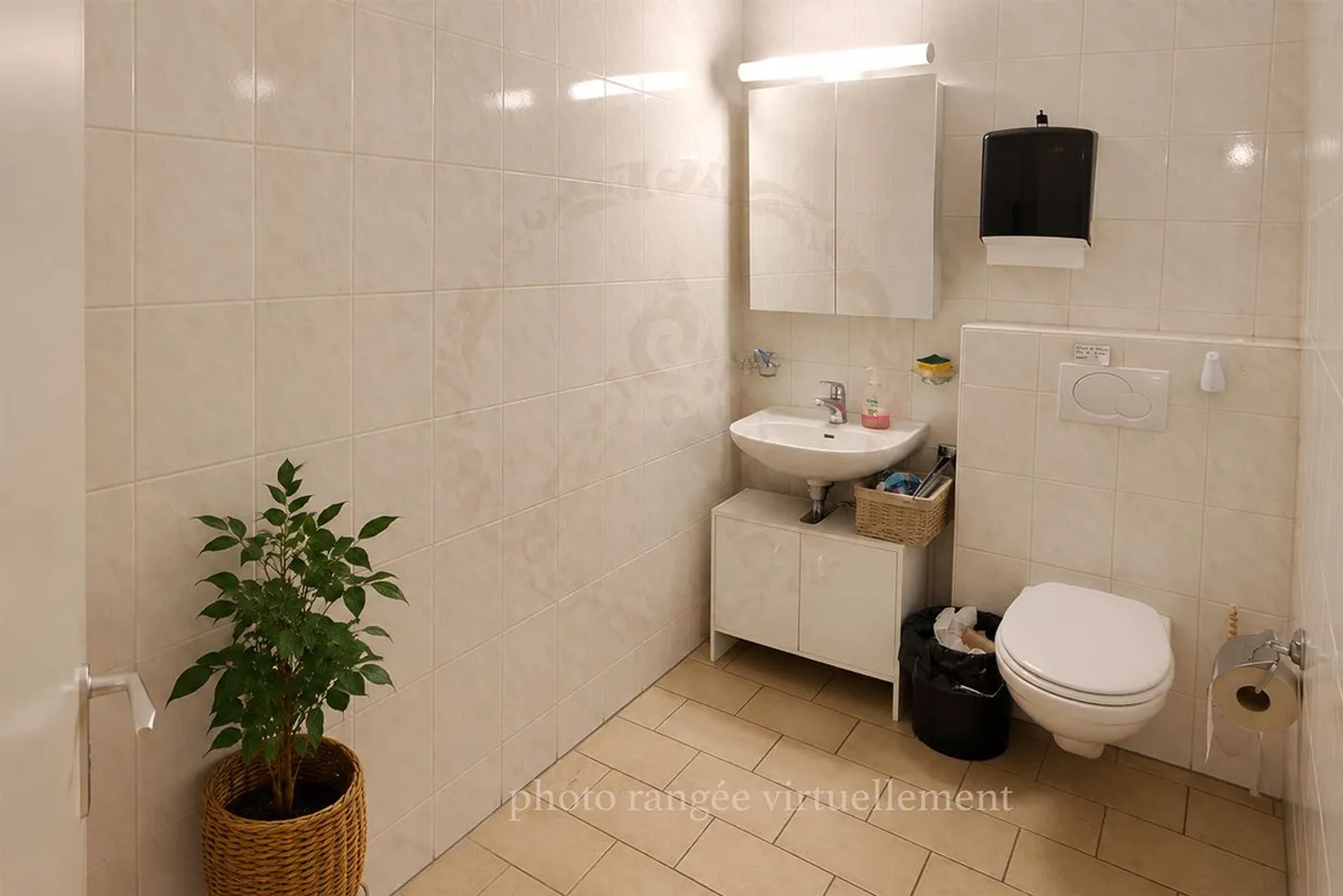 Espace Commercial au Coeur de Sion - Photo 6 sur 12