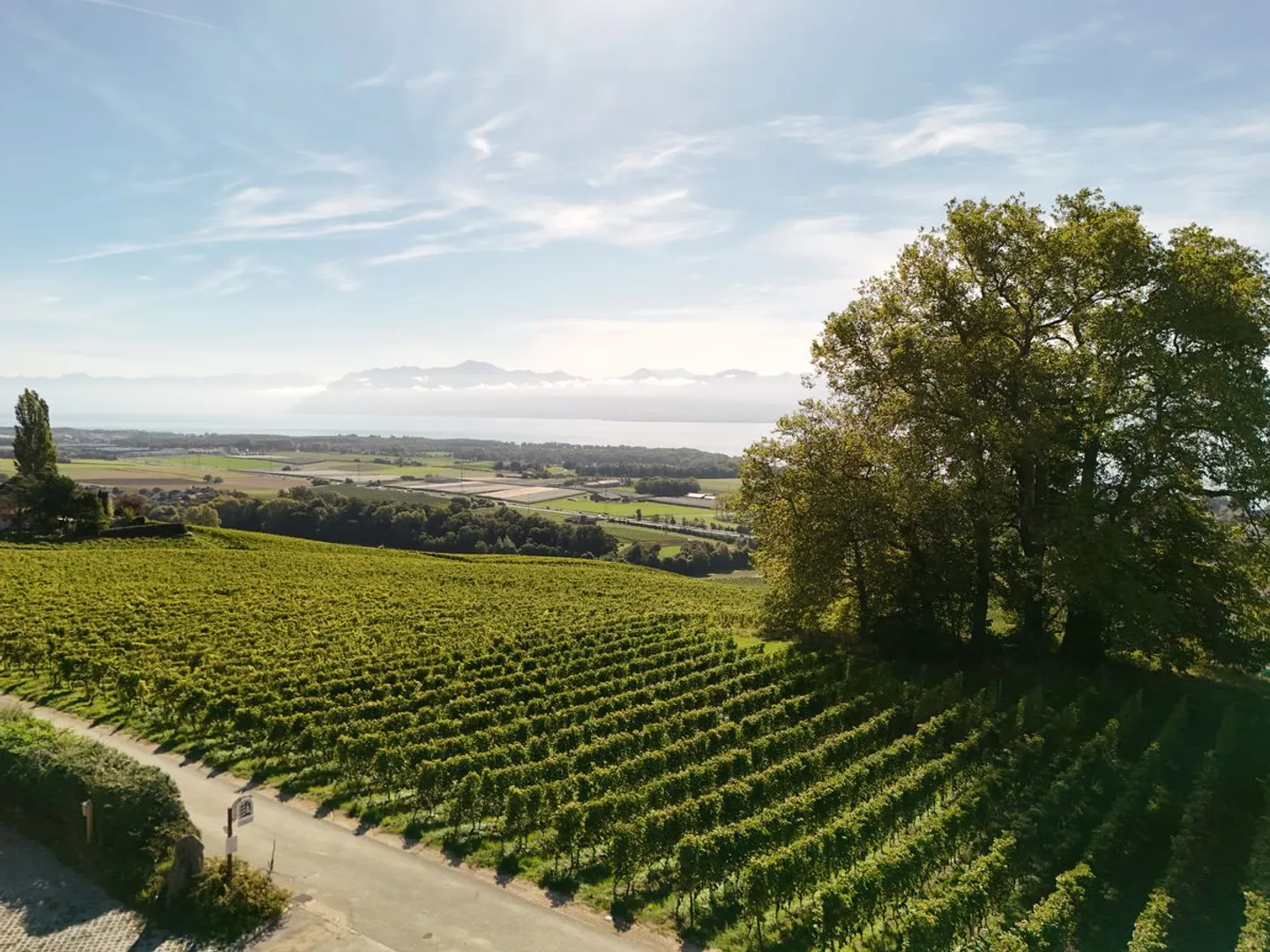 New High-End Villa: 360 m² of Light and Prestige Facing the Lake and the Alps, you can choose everything to finish the house .. - Photo 2 of 10