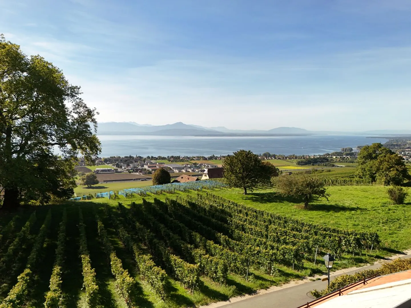 Villa nuova di alta gamma: 360 m² di luce e prestigio di fronte al lago e alle Alpi, a voi scegliere le finiture ... - Foto 12 di 12