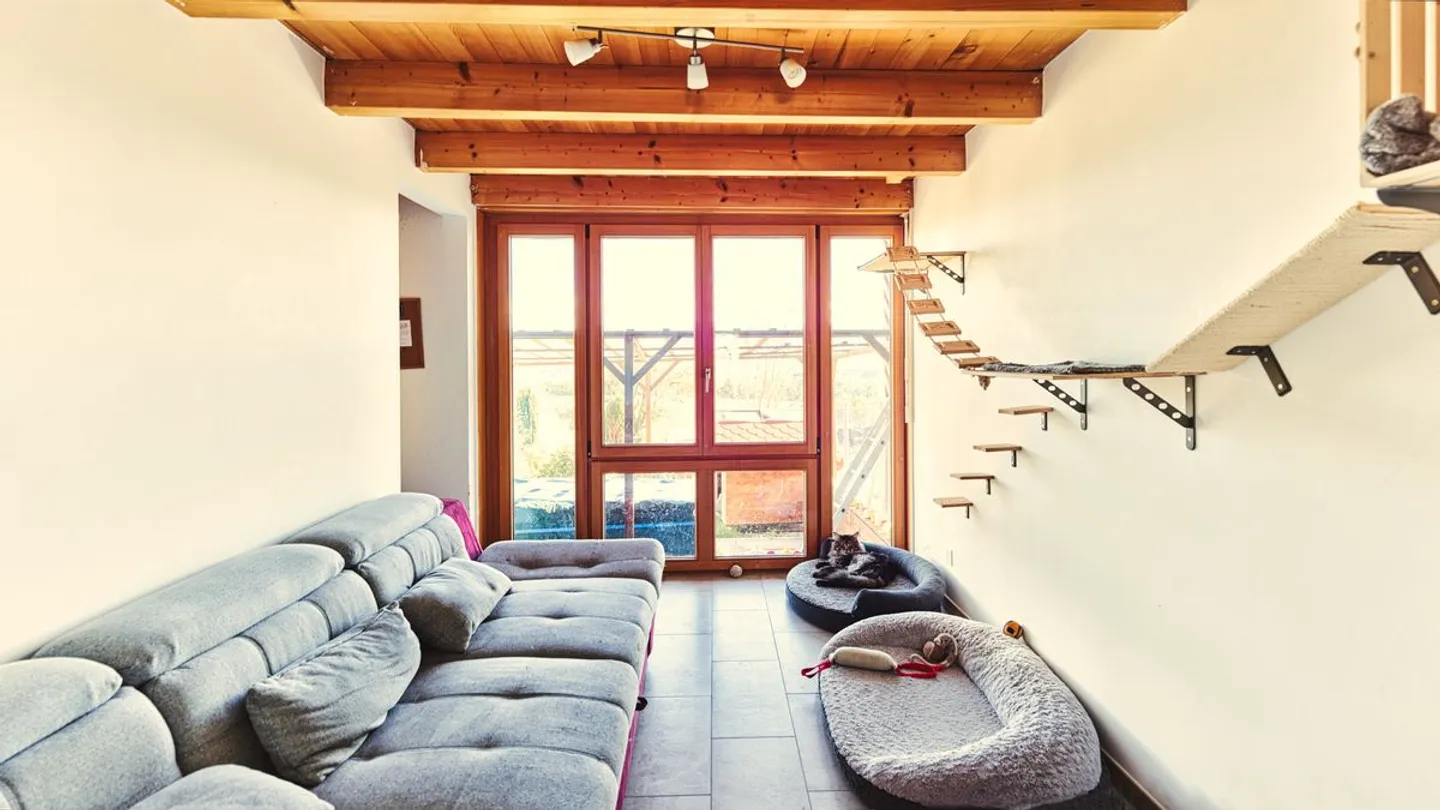 Renovated Farm with 3 Apartments - Yield ~5% - Villarimboud - Photo 11 of 13