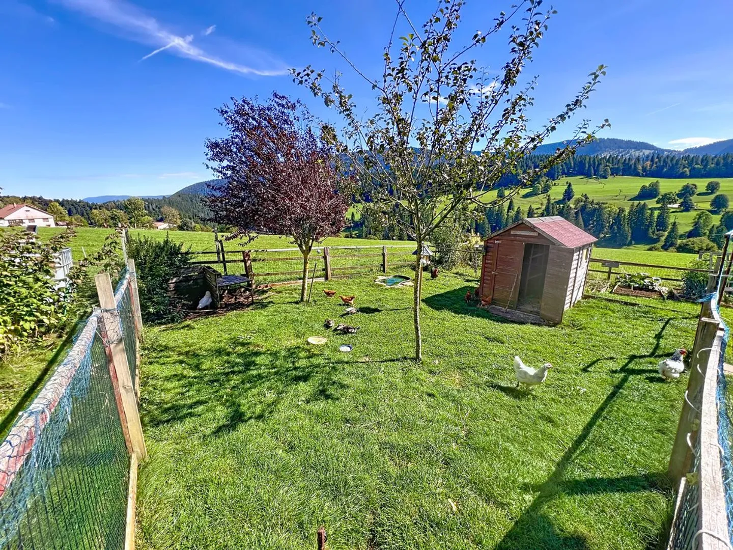 2 Familienhäuser unter einem Dach vereint - Ein atemberaubender Blick! - Foto 11 von 13