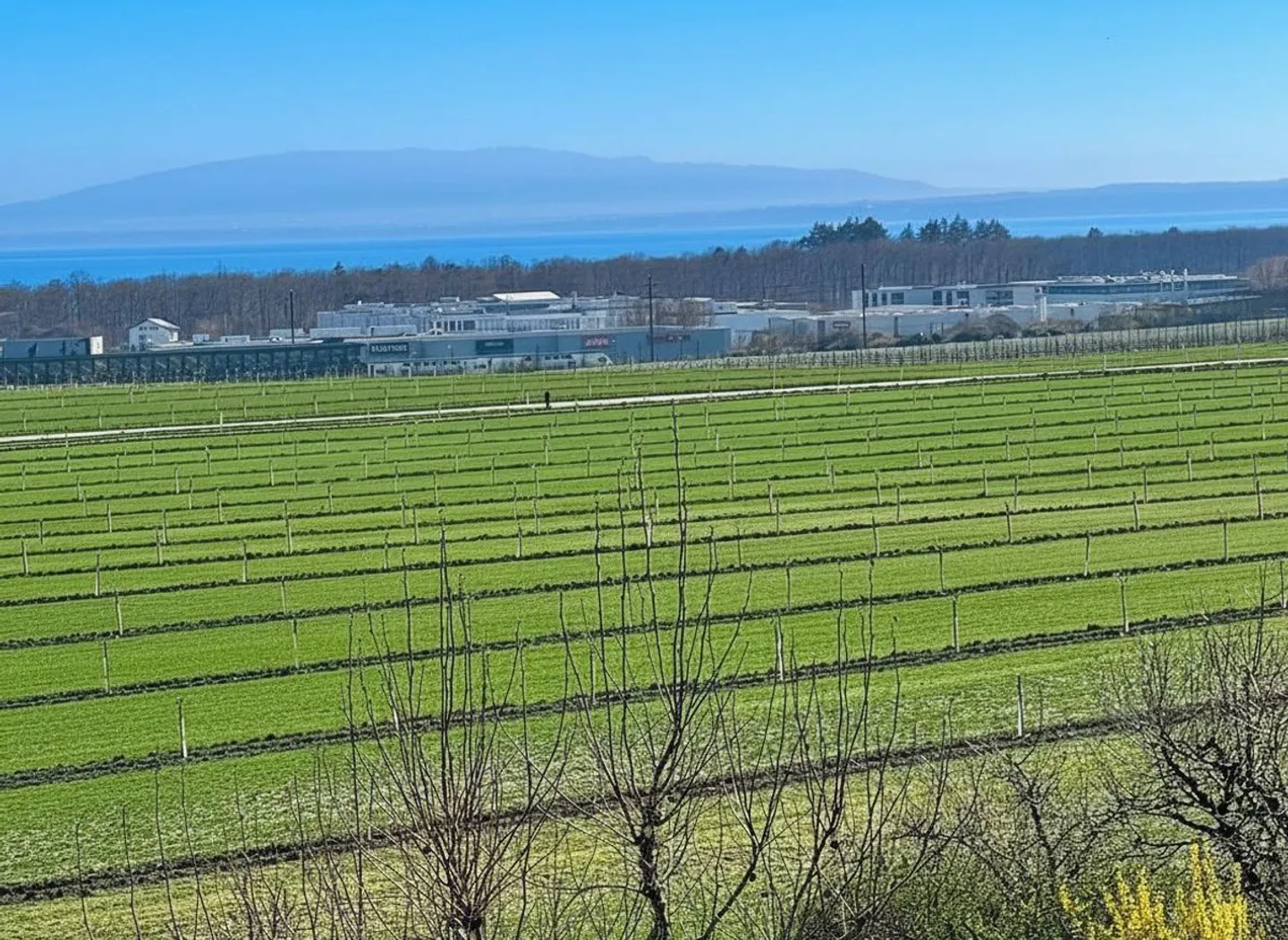 Duplex 4.5 rooms on the top floor with spectacular view of Lake Geneva, the Alps, and the vineyards - Photo 2 of 11