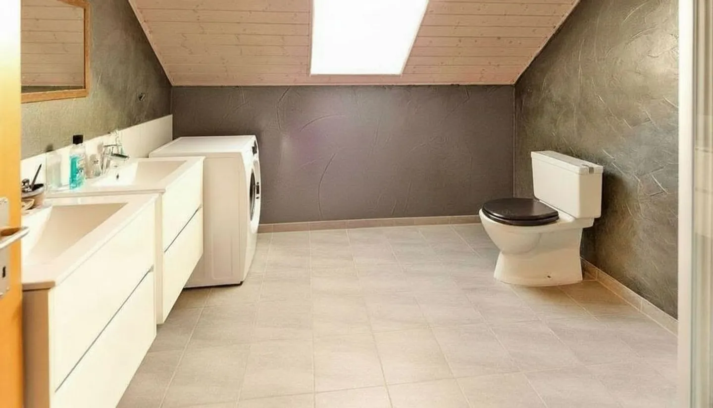 Renovated Farm with 3 Apartments - Yield ~5% - Villarimboud - Photo 7 of 13