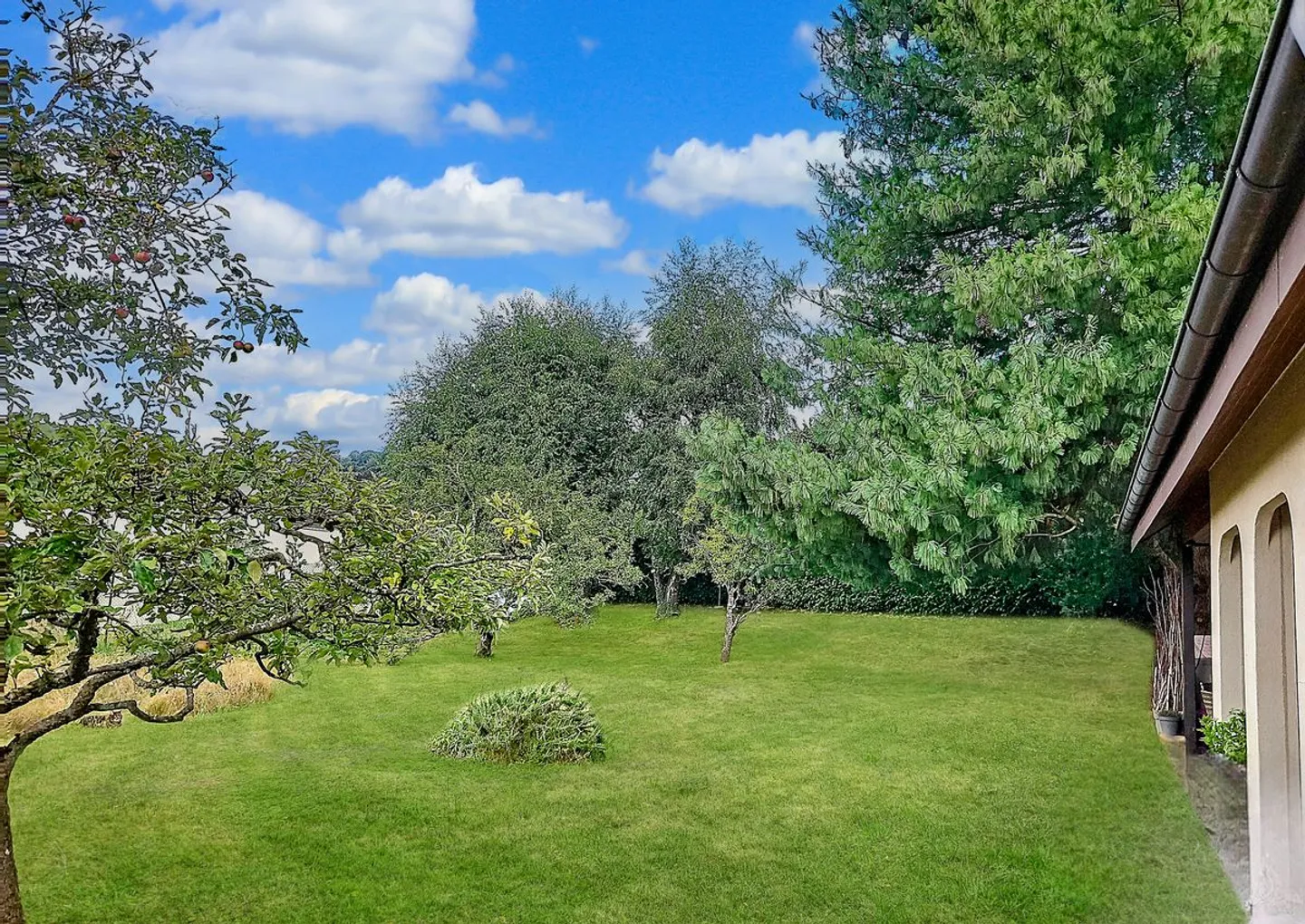 Großes, komfortables und ruhiges Haus auf einem sehr schönen Grundstück - Foto 7 von 8