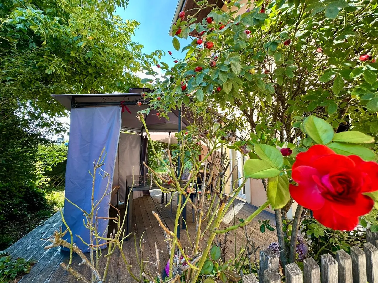 Charming Character House with Orchard - Photo 12 of 13
