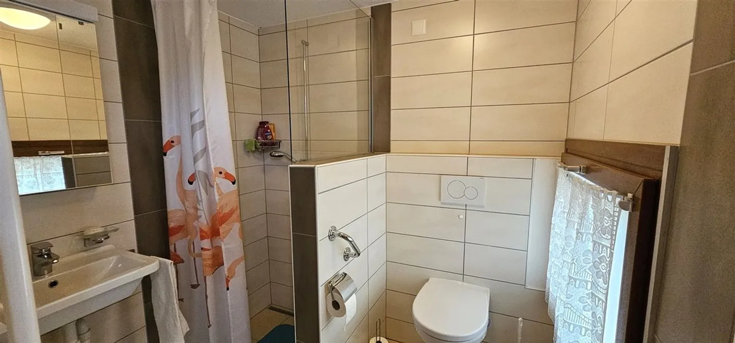 Vecchia fattoria con 2 appartamenti e un grande deposito - Foto 5 di 10