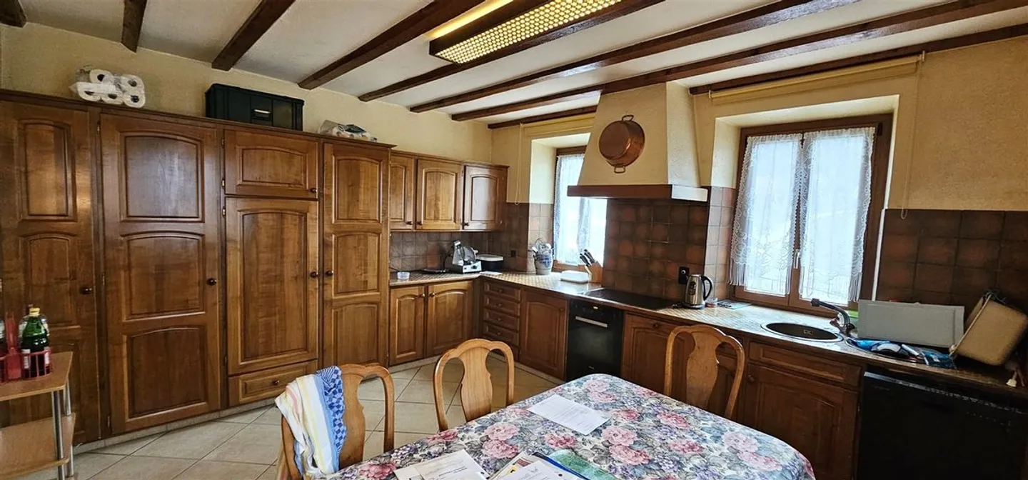 Vecchia fattoria con 2 appartamenti e un grande deposito - Foto 3 di 10