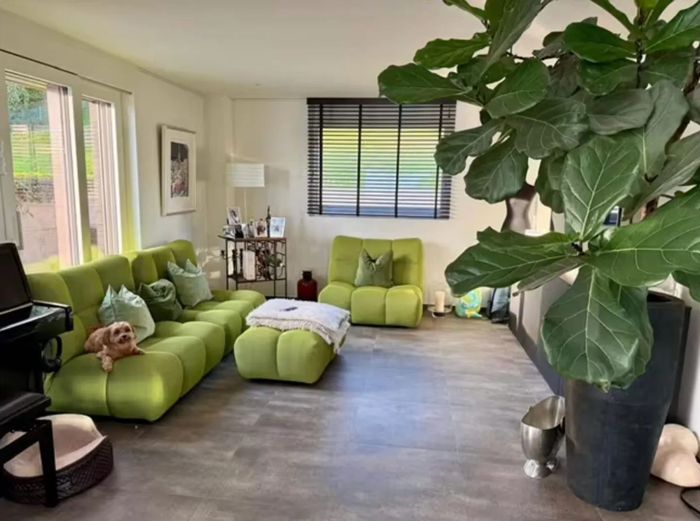 Am See leben! - Foto 2 von 9