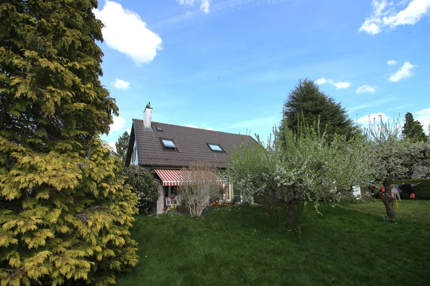 Beautiful detached house with large garden - Photo 11 of 12