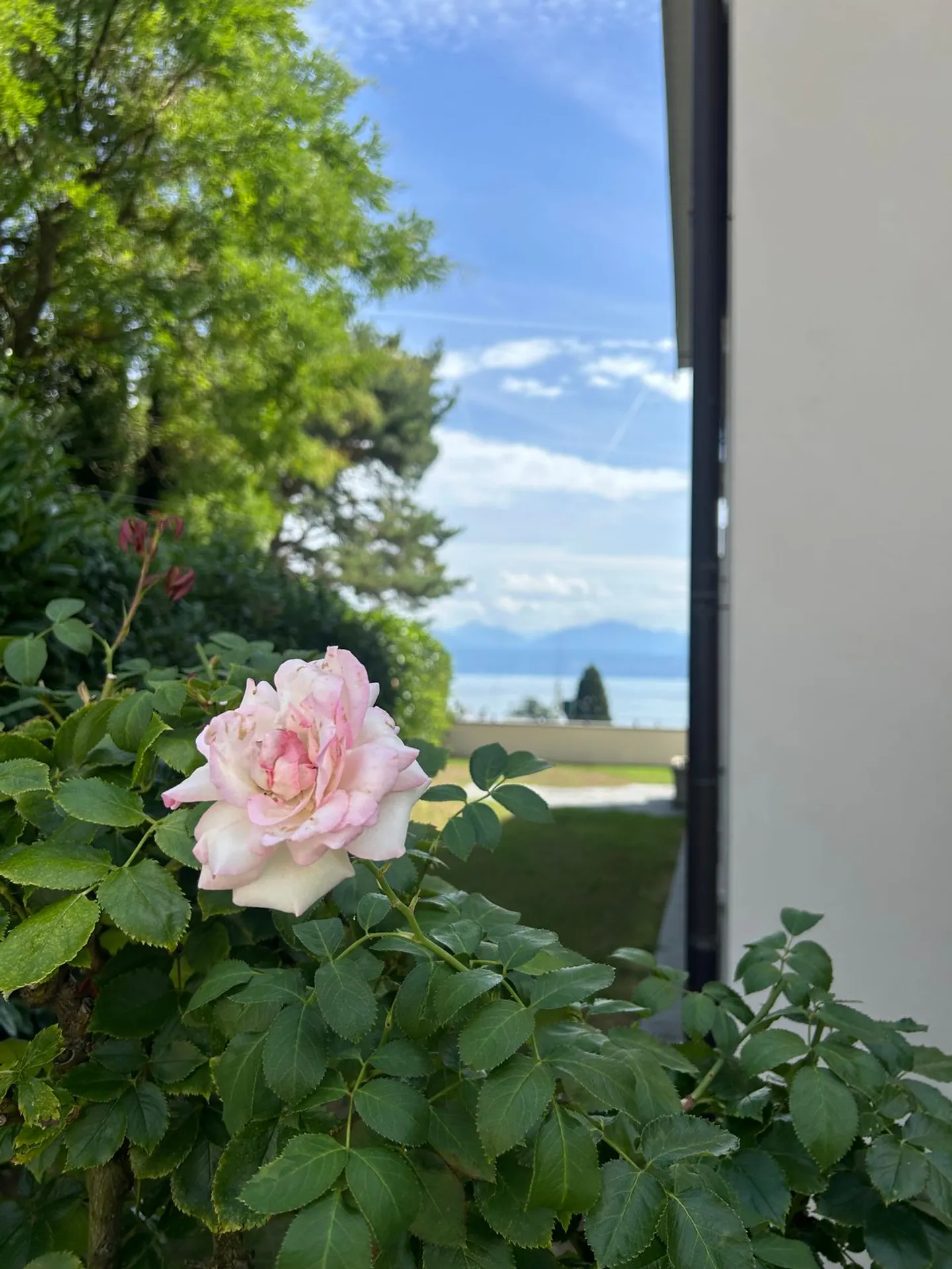 Appartamento con giardino privato e vista mozzafiato sul lago di Ginevra - Foto 1 di 2
