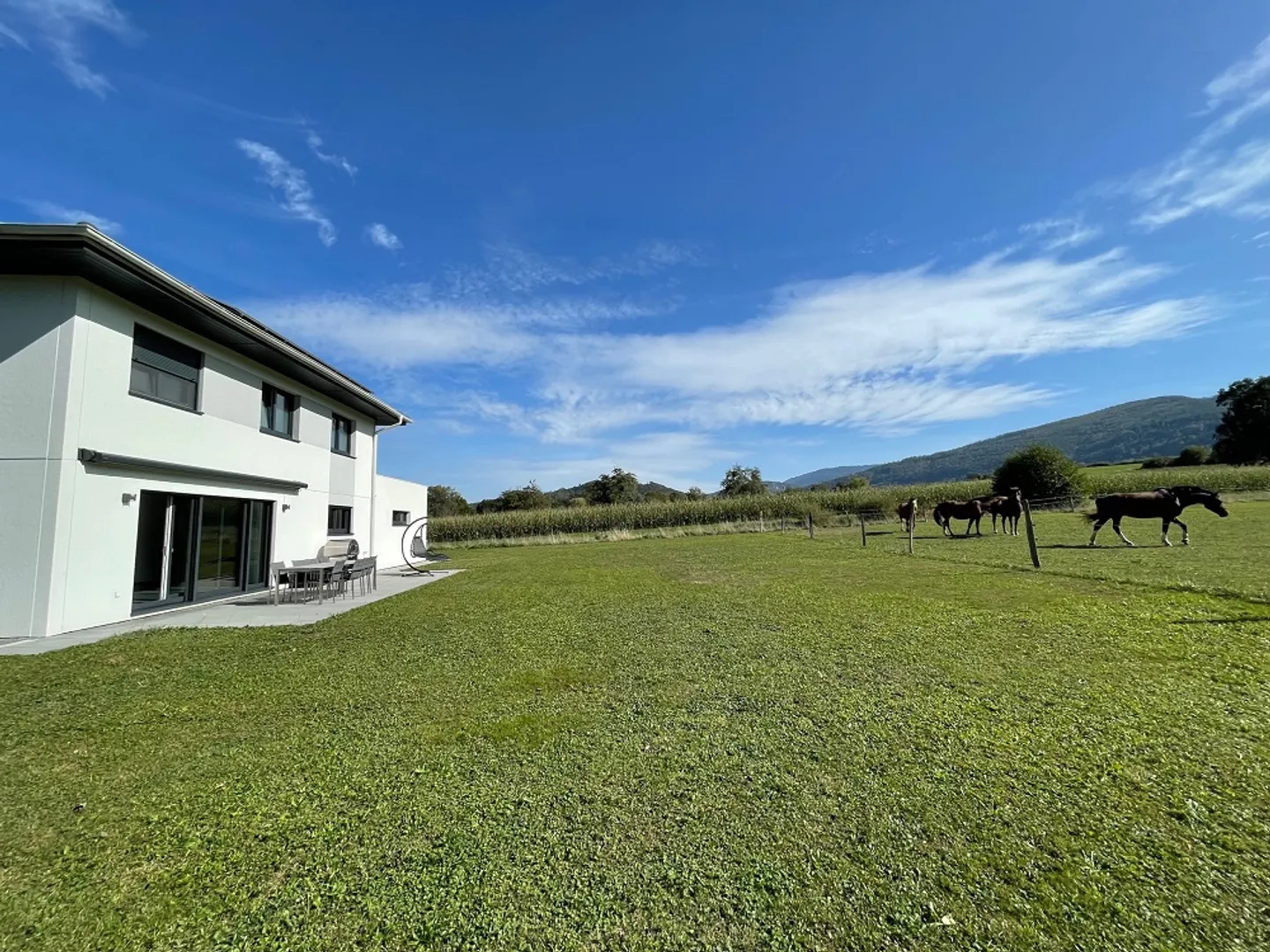 Villa, Courtételle - 935000 - Photo 1 of 13