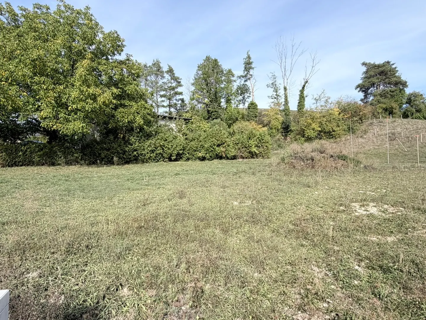 Terrain, Vicques - 260000 - Photo 1 sur 2