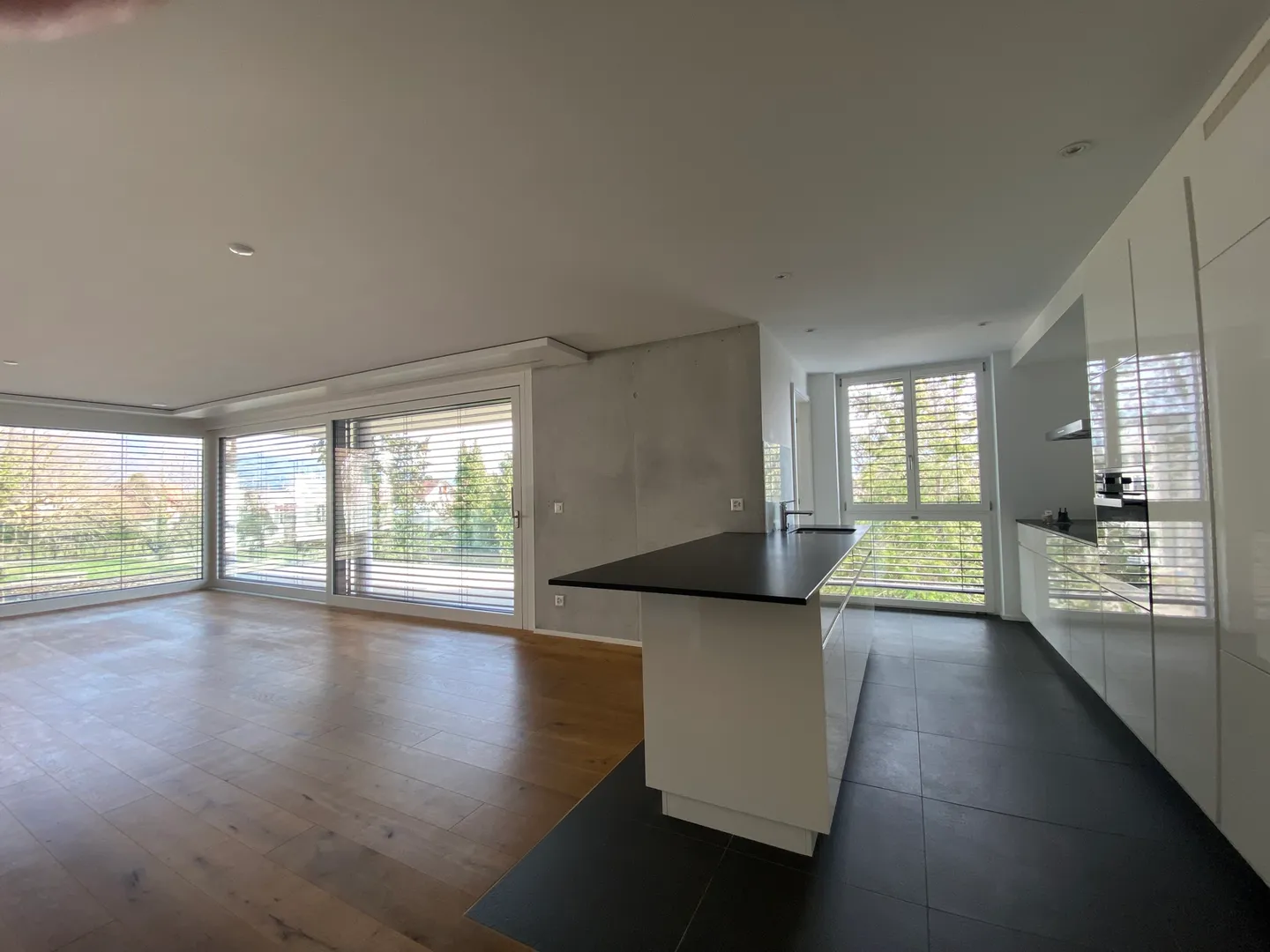 Apartment, Delémont - 1,150,000 - Photo 4 of 13