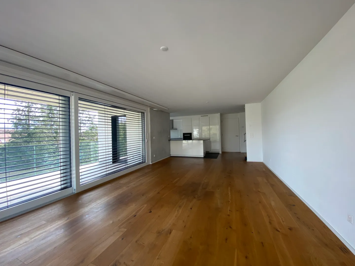 Apartment, Delémont - 1,150,000 - Photo 5 of 13