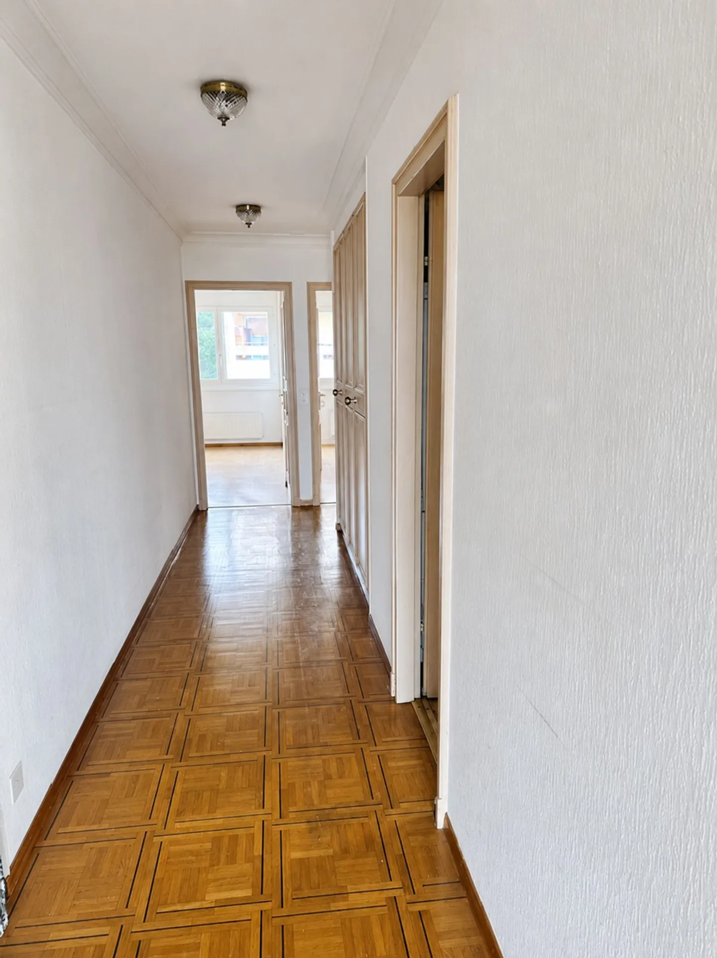 CLARENS - BRIGHT 3.5 ROOM APARTMENT WITH BALCONY, FIREPLACE AND LAKE VIEW - Photo 8 of 10