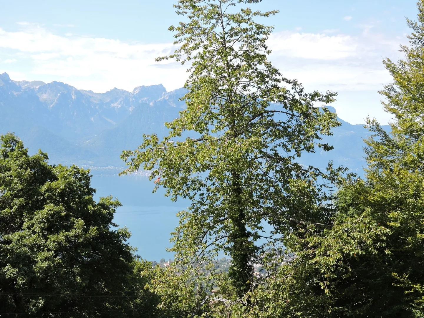 Magnifique maison de campagne - Photo 5 of 7