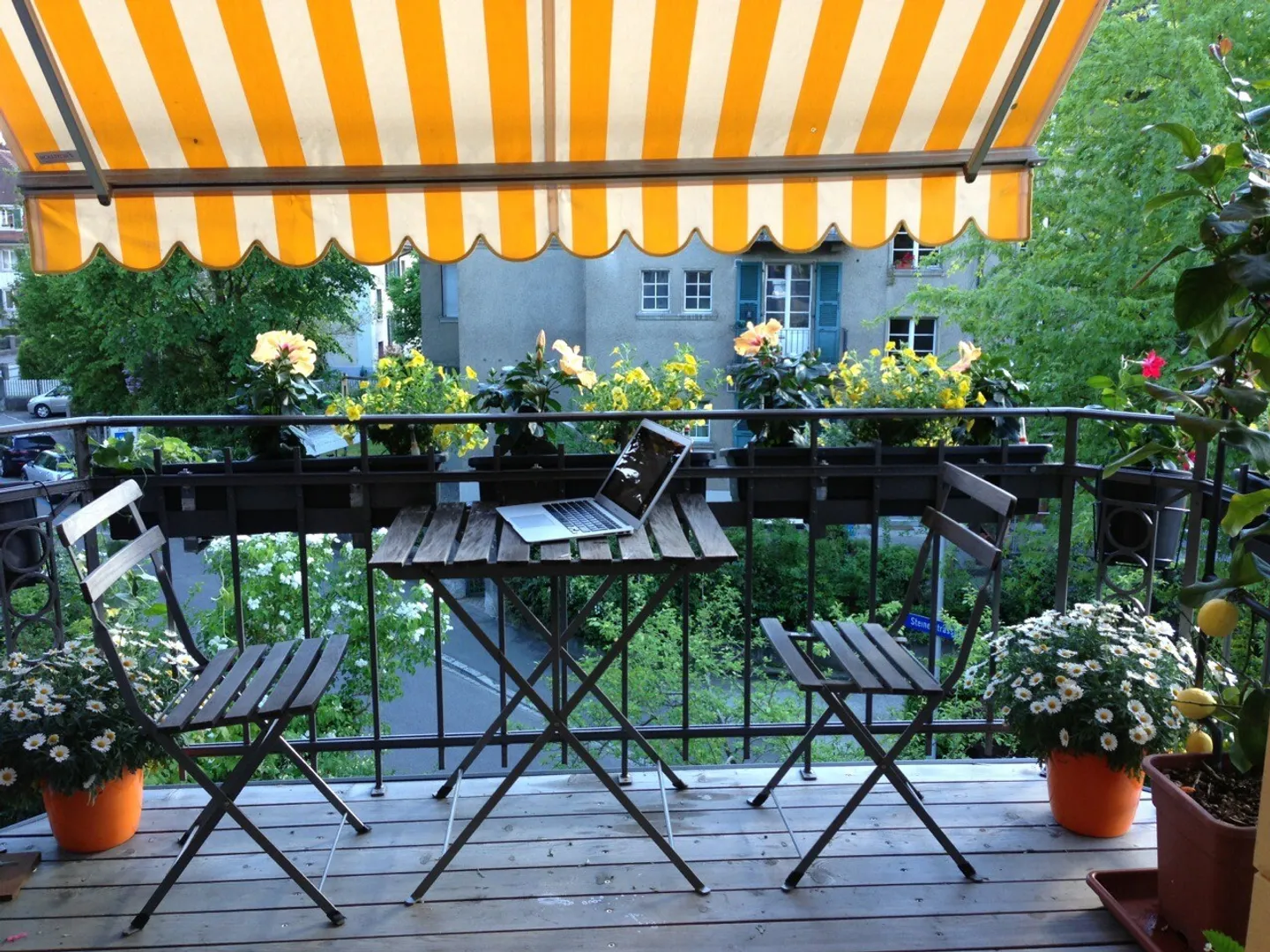 Elegante Altbauwohnung in Kirchenfeld - Foto 9 von 9