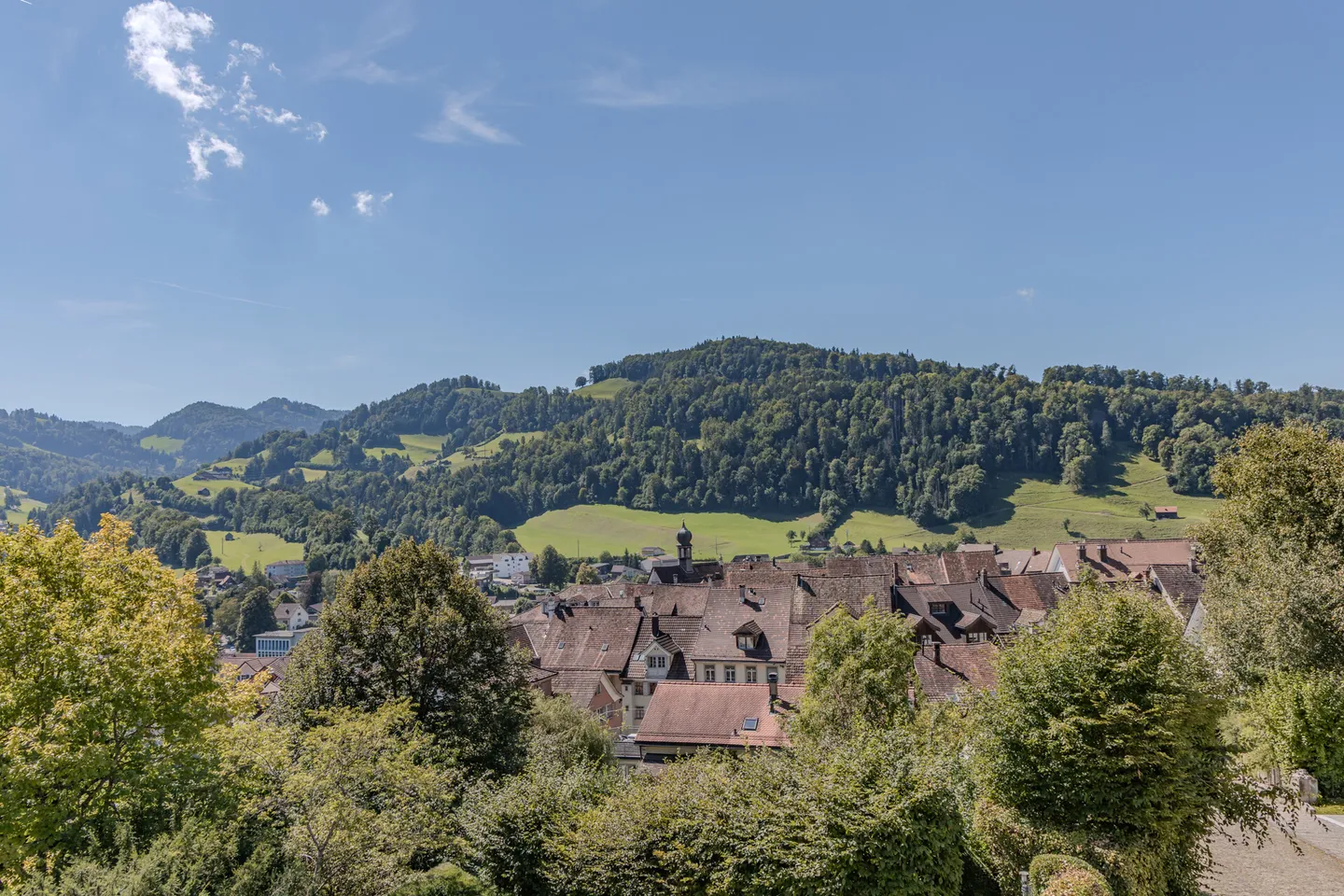 Maison d'architecte spéciale au-dessus des toits de Lichtensteig - Photo 12 sur 12