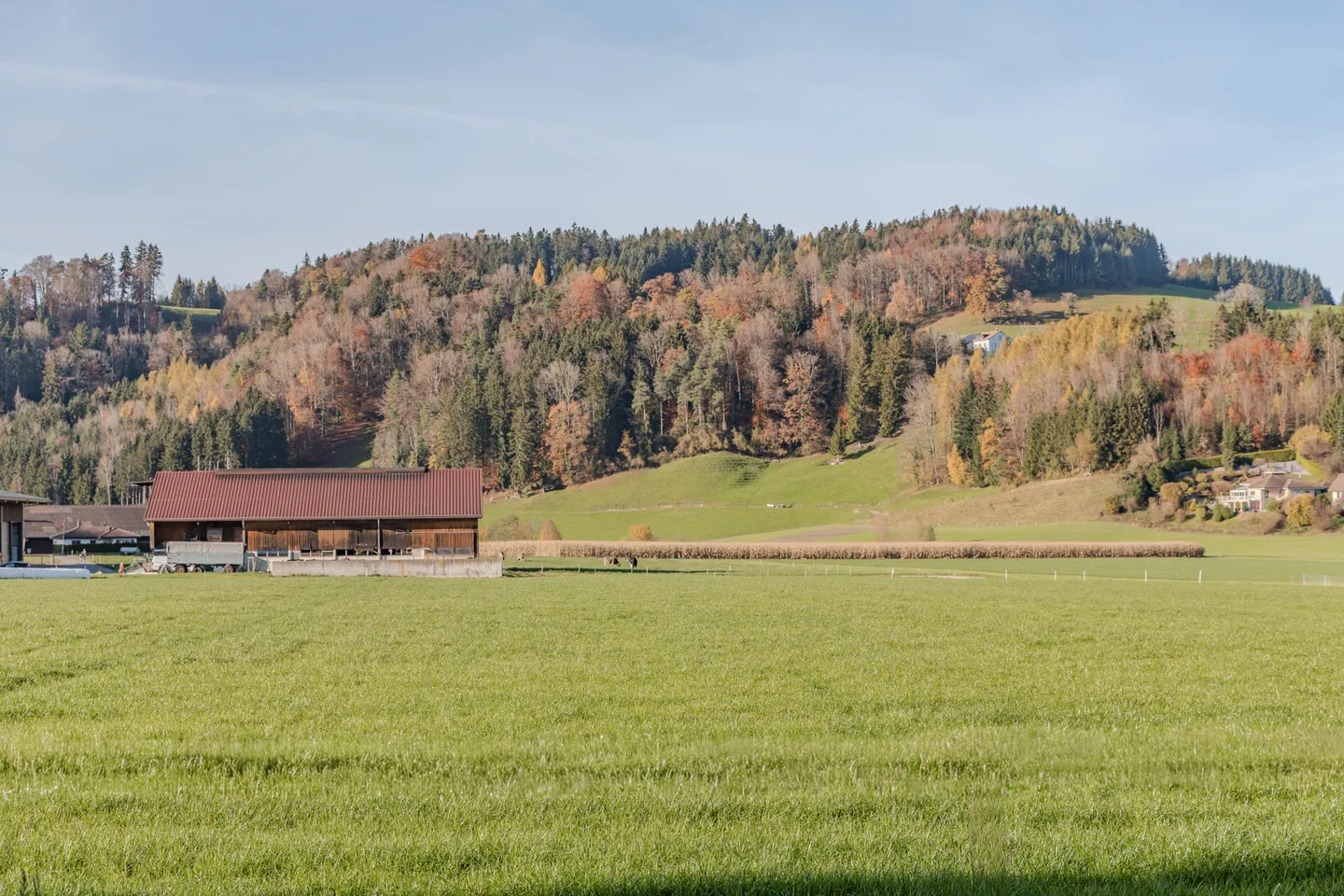 Vivre dans le vert avec style et confort - Photo 9 sur 9