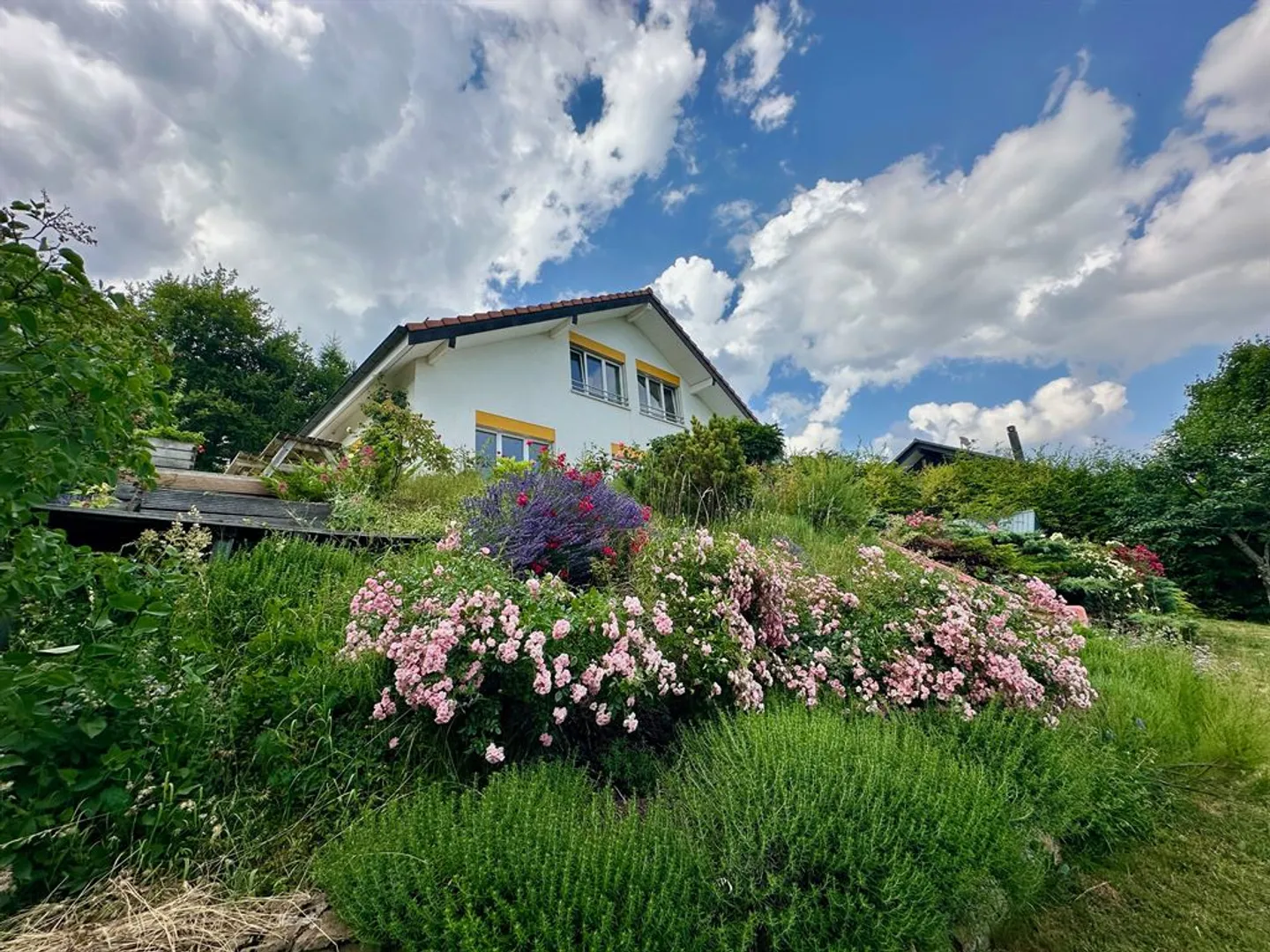 Panoramablick auf den See und die Alpen, ruhig und ohne direkte Nachbarn - Foto 2 von 12