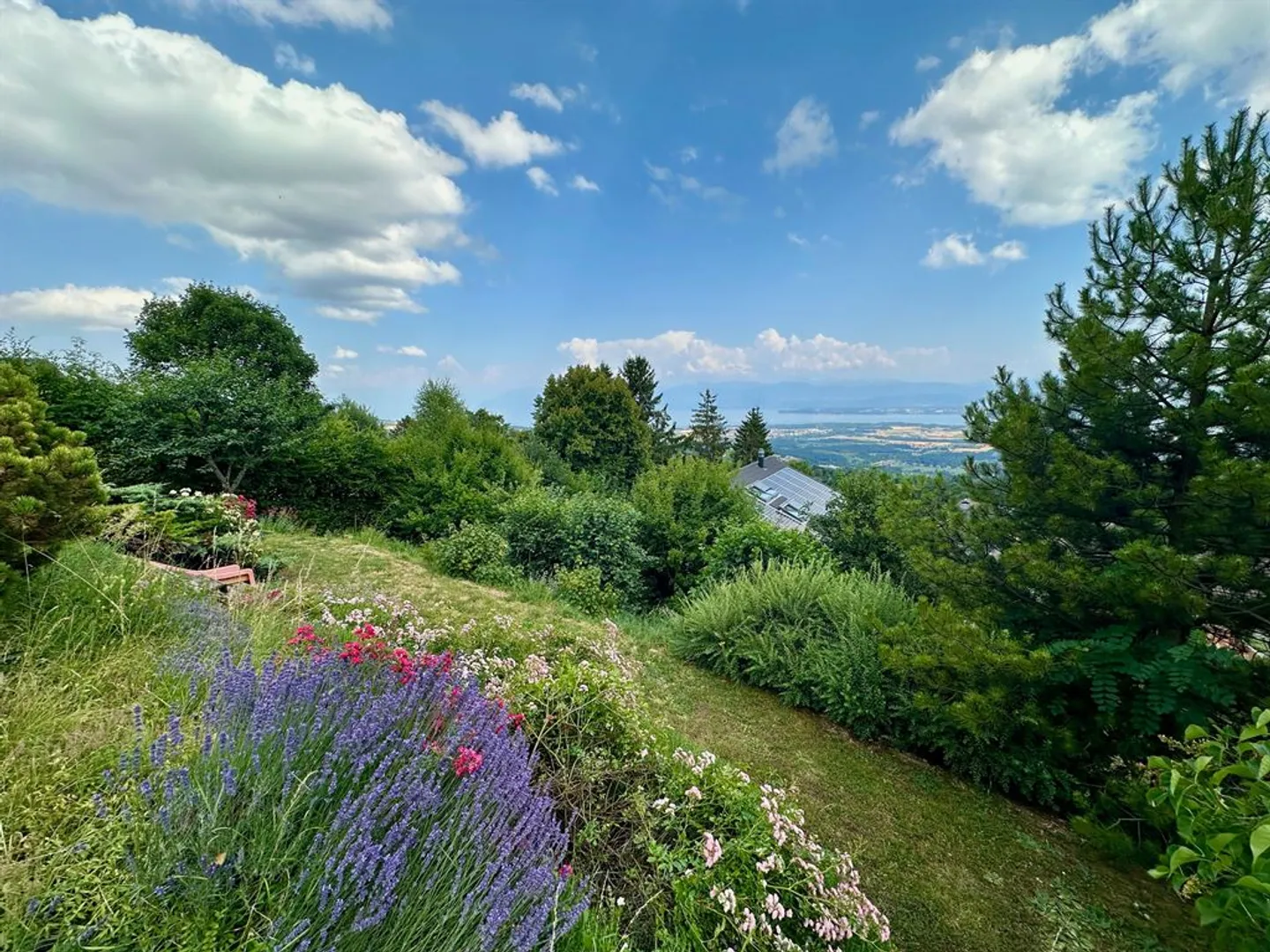 Panoramablick auf den See und die Alpen, ruhig und ohne direkte Nachbarn - Foto 9 von 12
