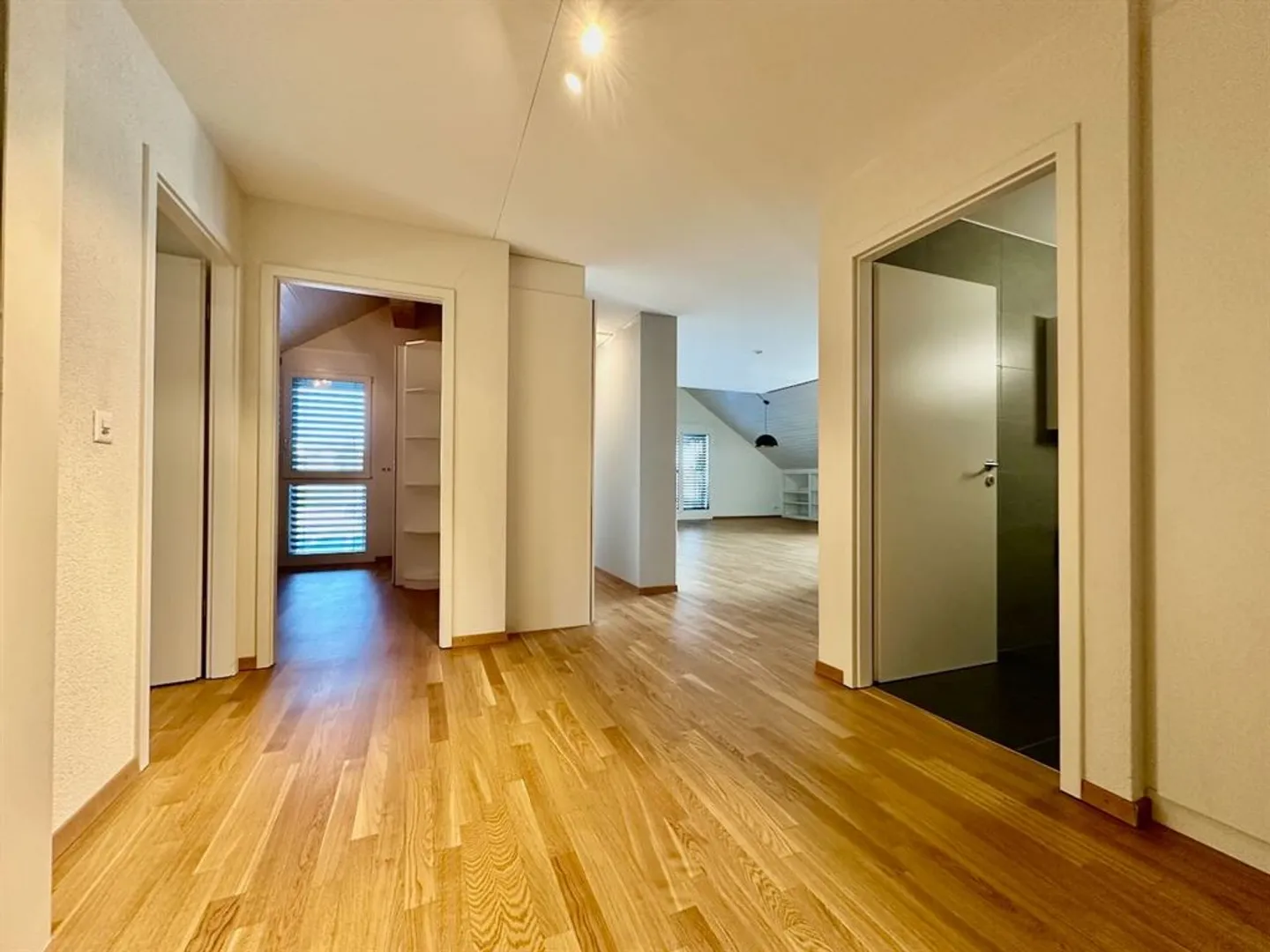 View of the lake and the Alps with large terrace - Photo 8 of 9