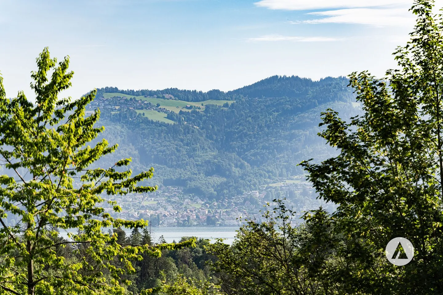 Building land between lake and forests - Photo 7 of 11