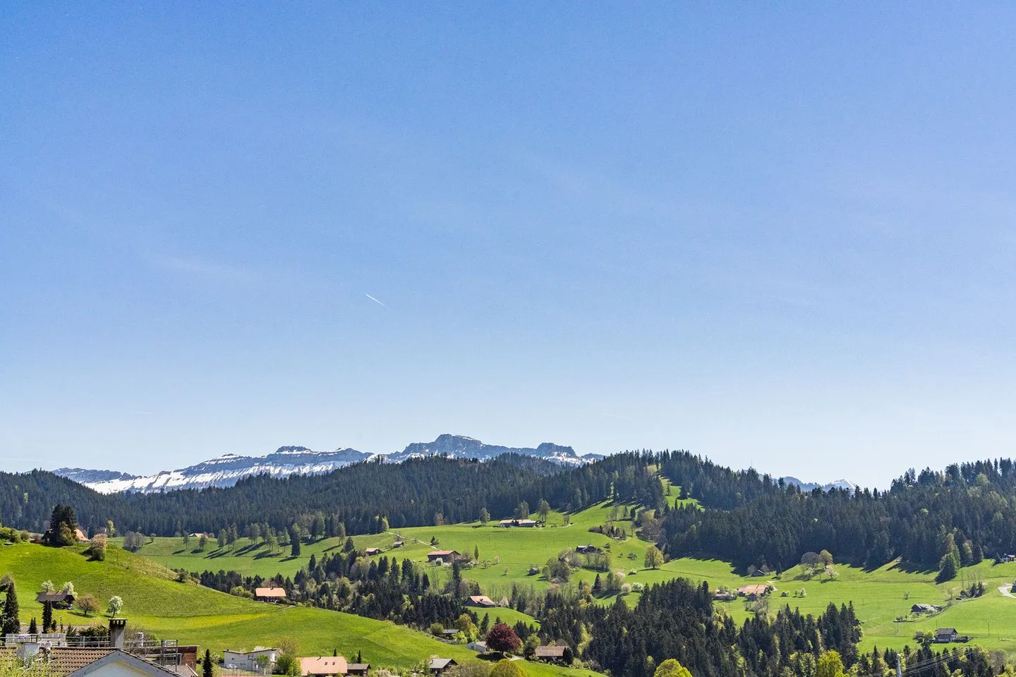 Between City and Country on the Sunny Slope - Photo 2 of 13